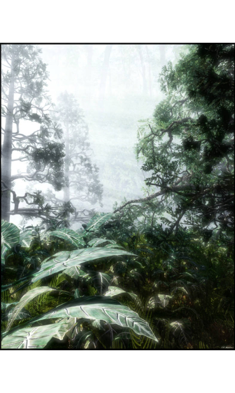 forest.jpg
