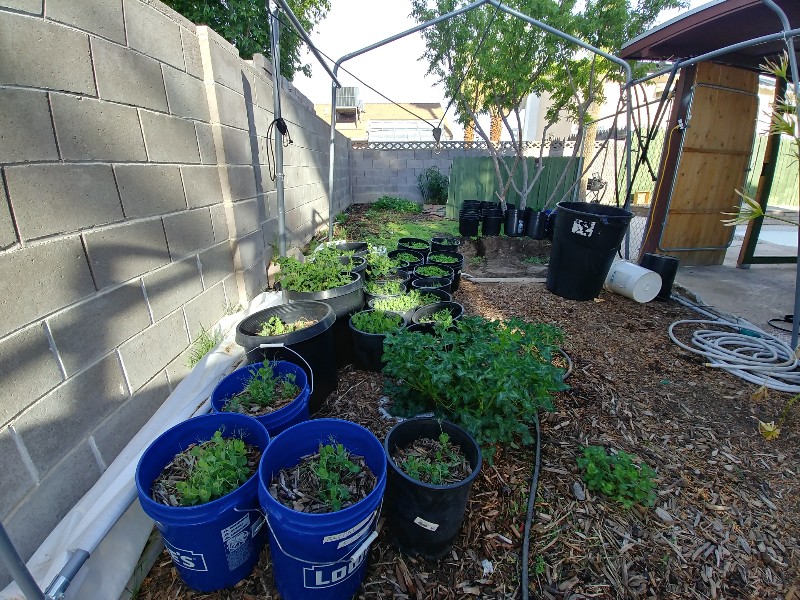 20190406_165740_HDR800x600.jpg