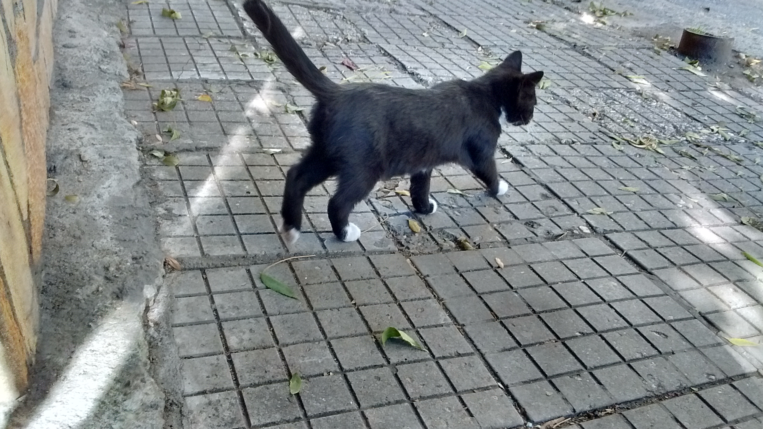 IMG_20191020_130054316_HDR.jpg