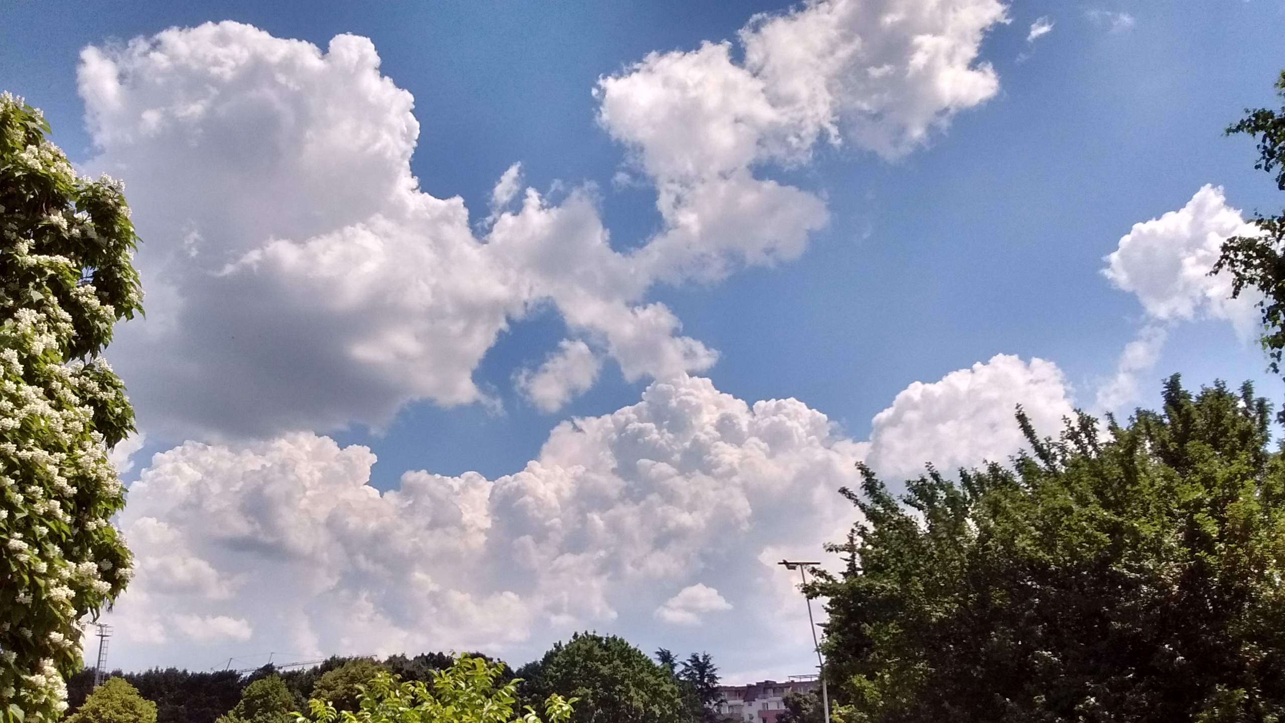 IMG_20190615_142505943_HDR.jpg
