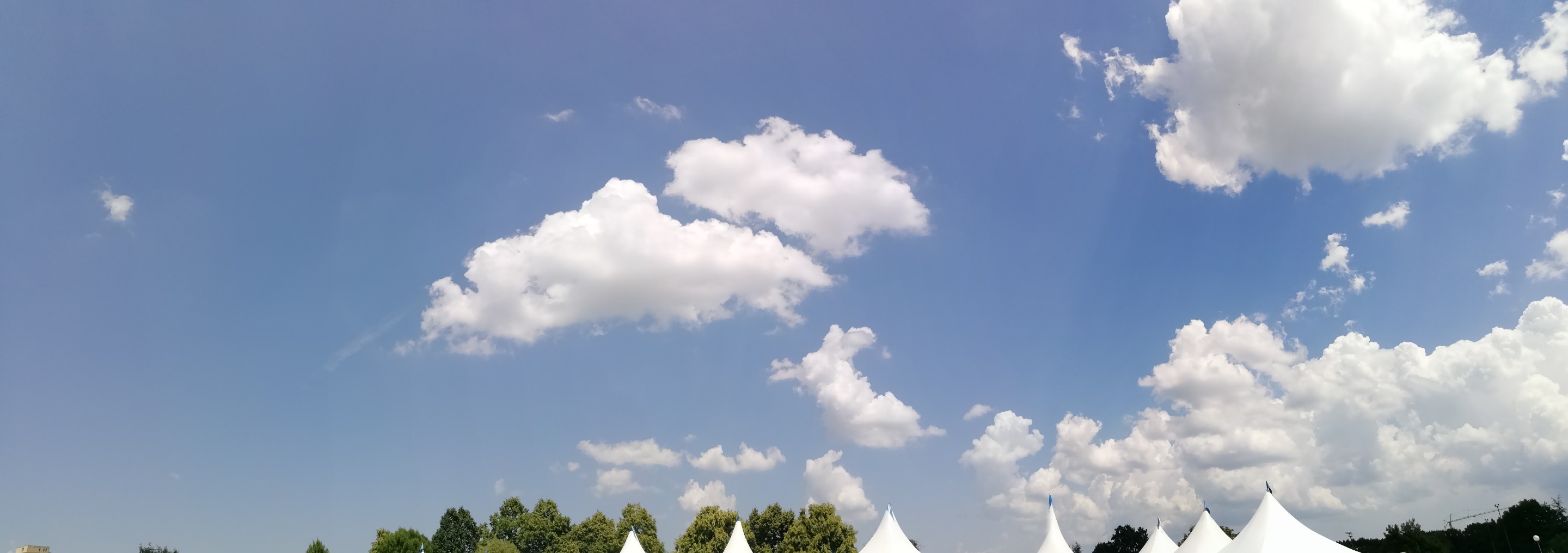 IMG_20190615_143432.jpg