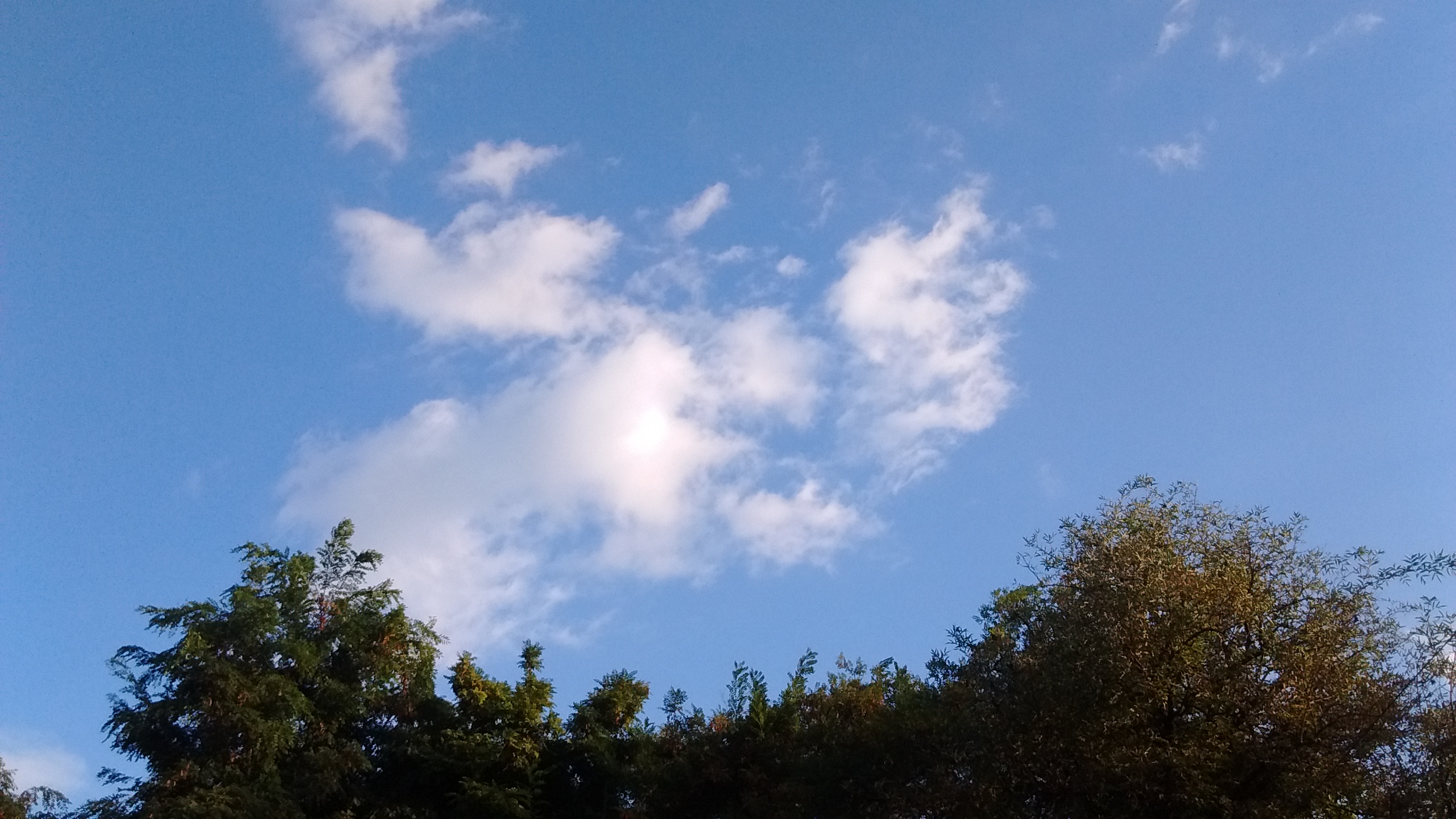 IMG_20180912_182952623.jpg