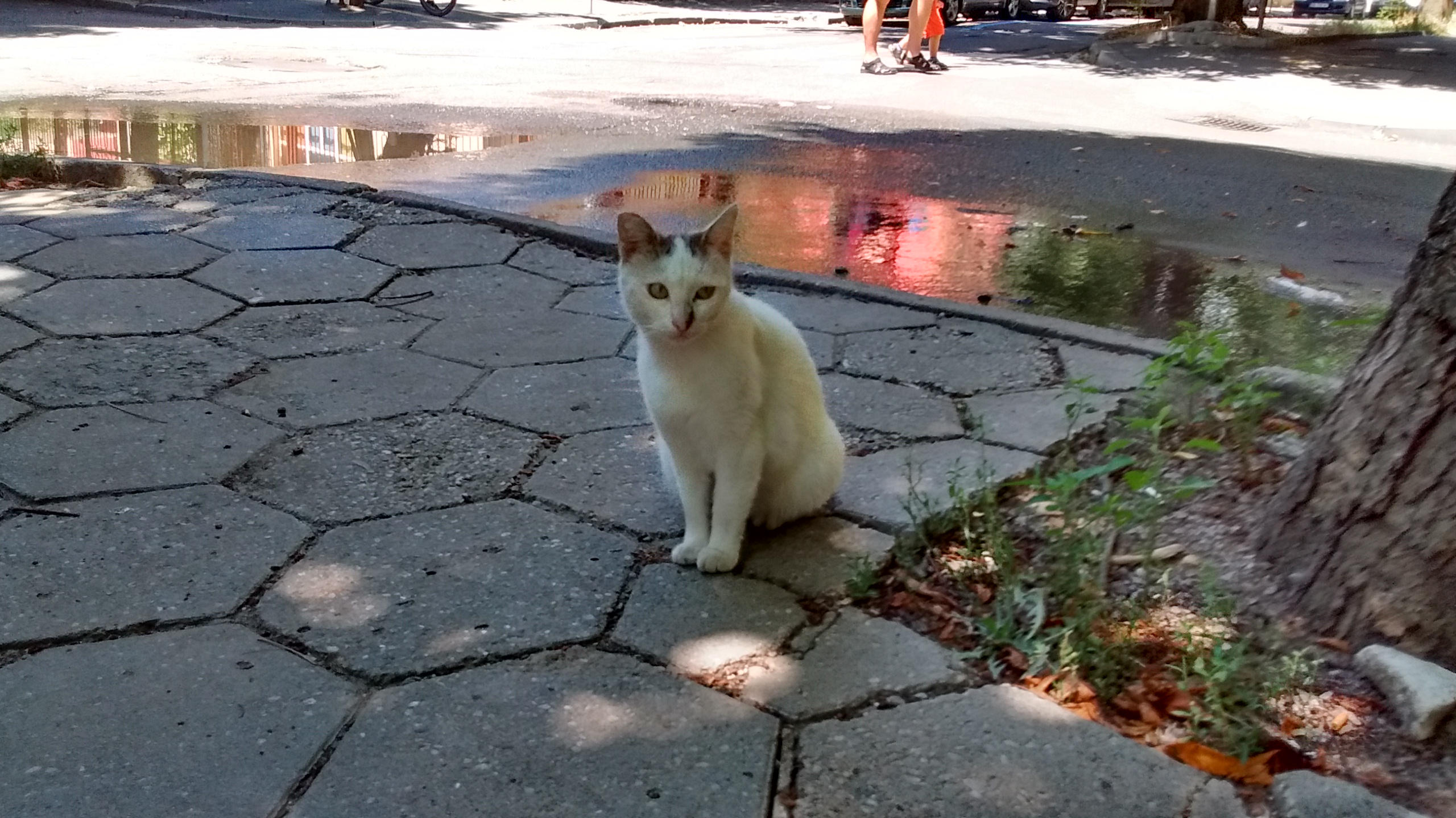 IMG_20190720_130516181_HDR.jpg