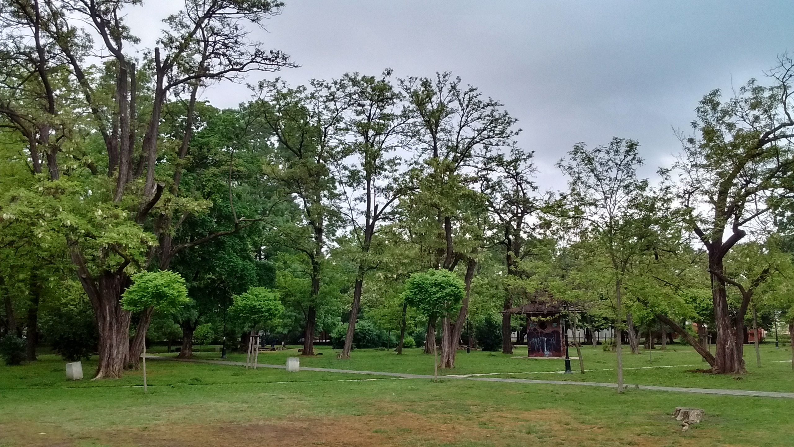 IMG_20190516_081607773_HDR.jpg