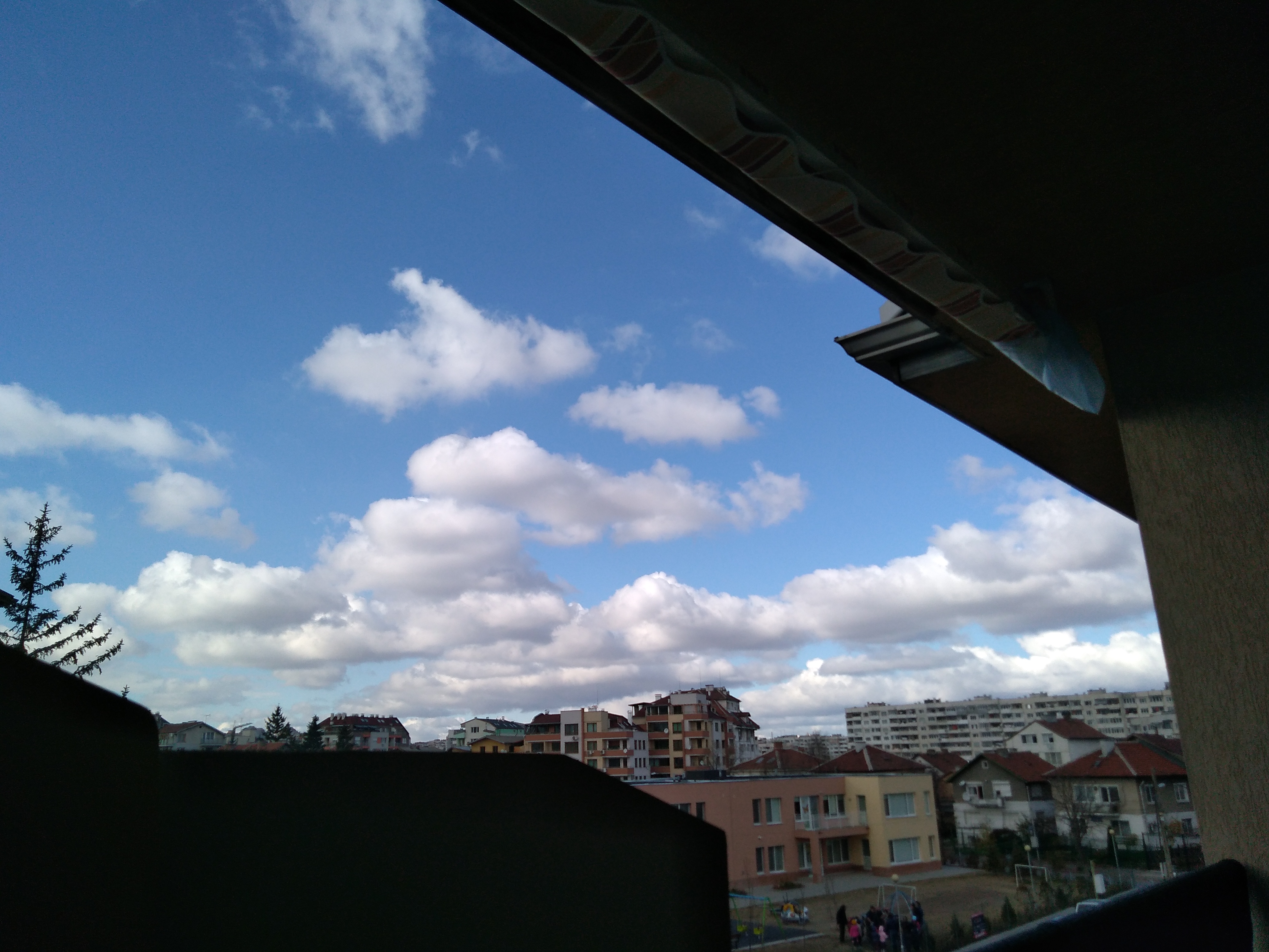 IMG_20181116_122757.jpg