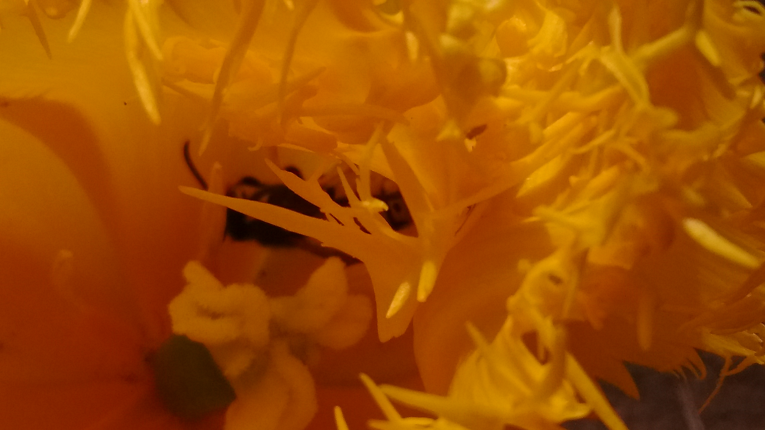 IMG_20190427_115553596.jpg