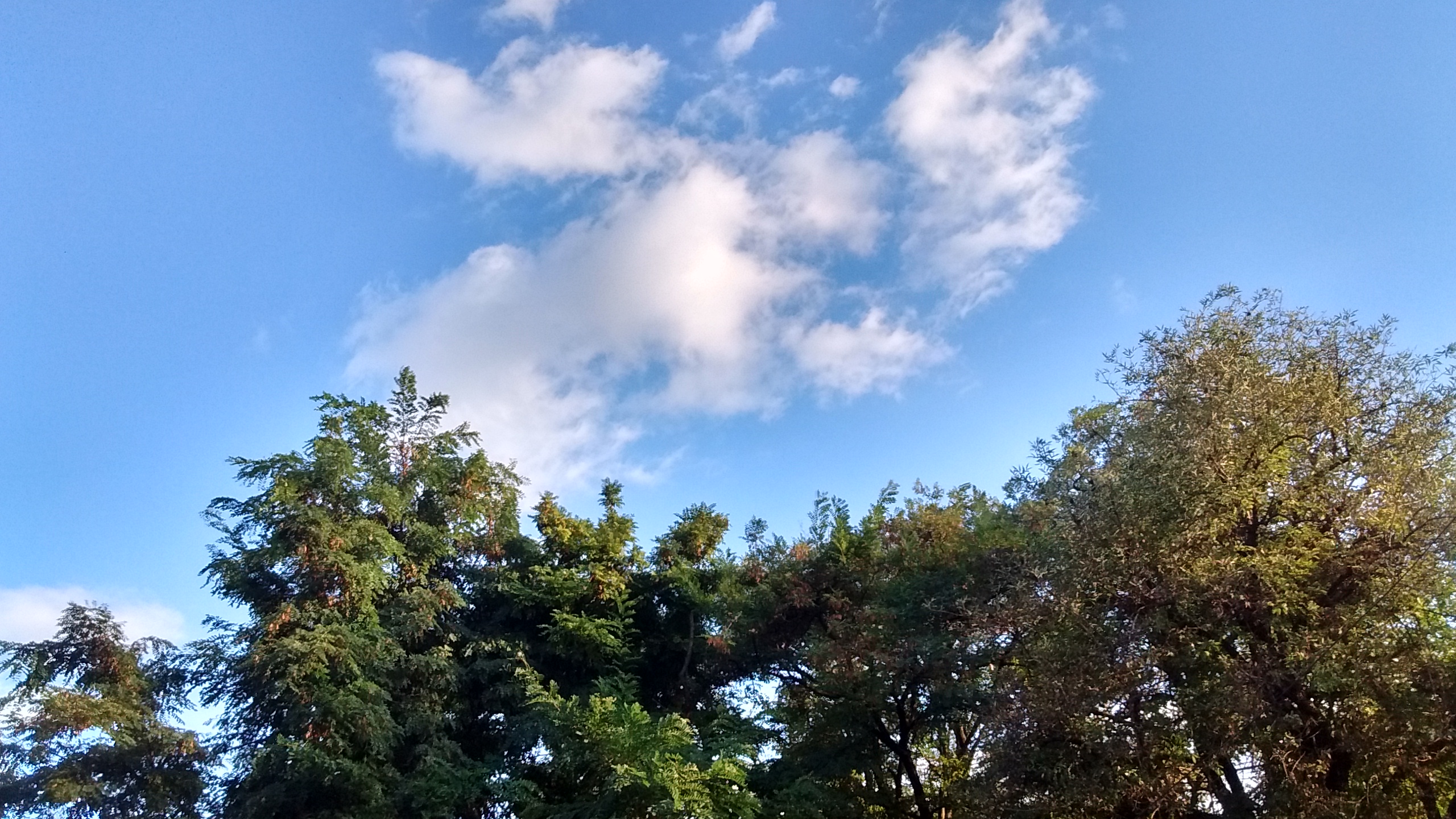 IMG_20180912_182948752_HDR.jpg