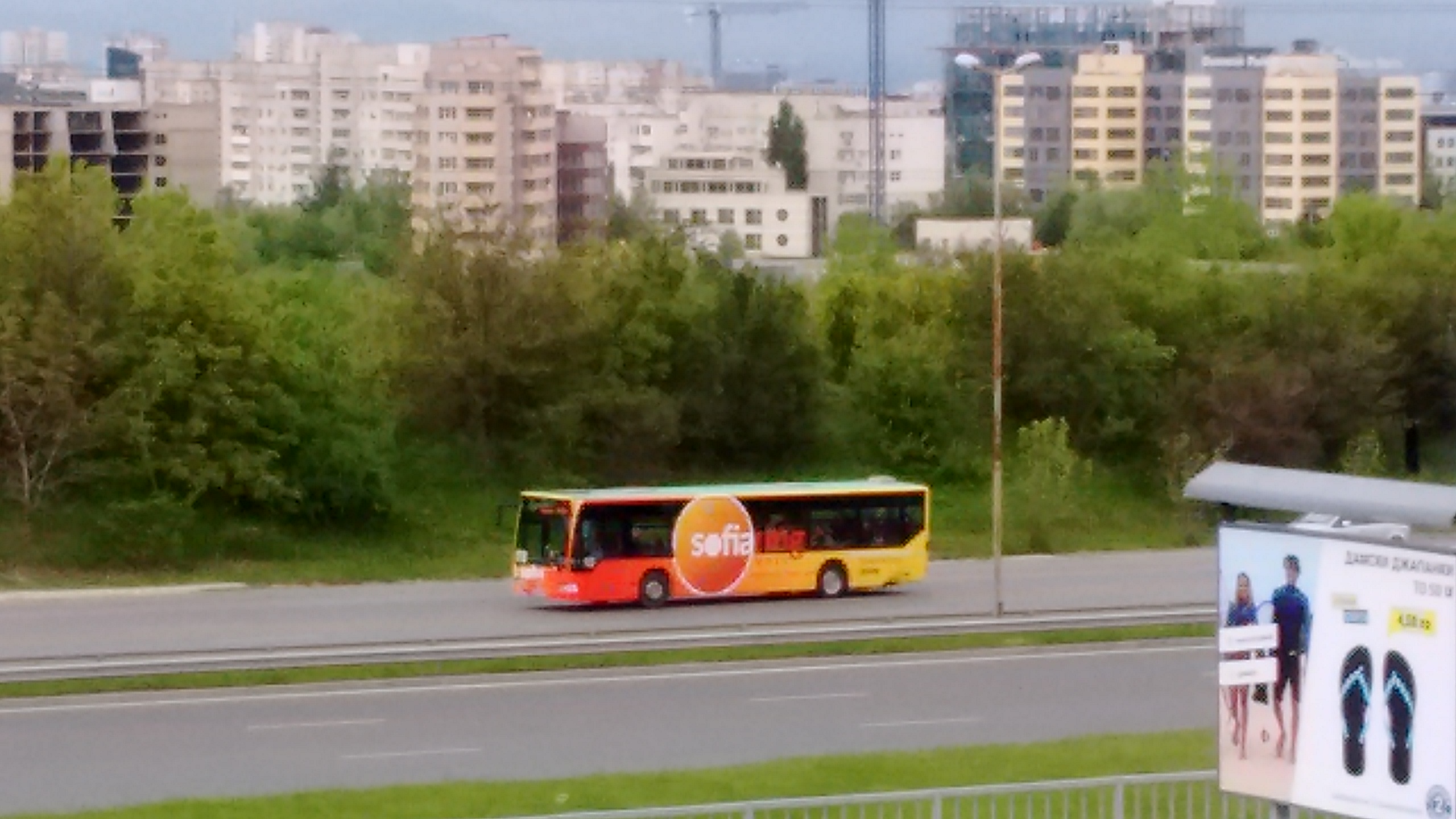 IMG_20190504_143347059.jpg