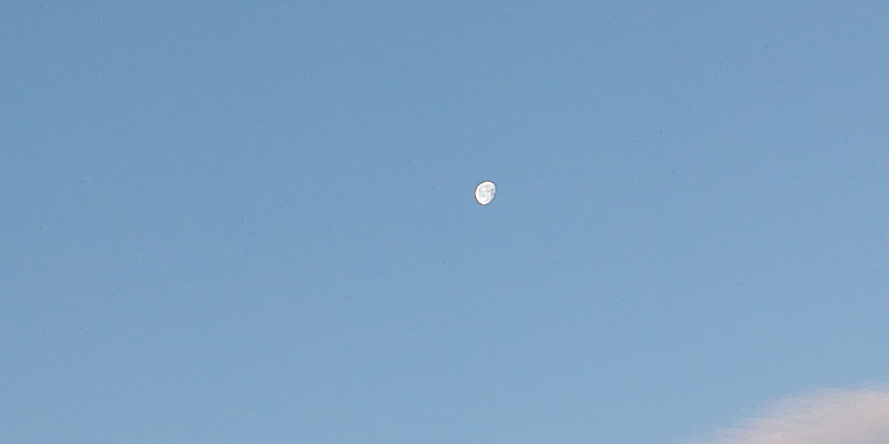IMG_20181226_075632.jpg