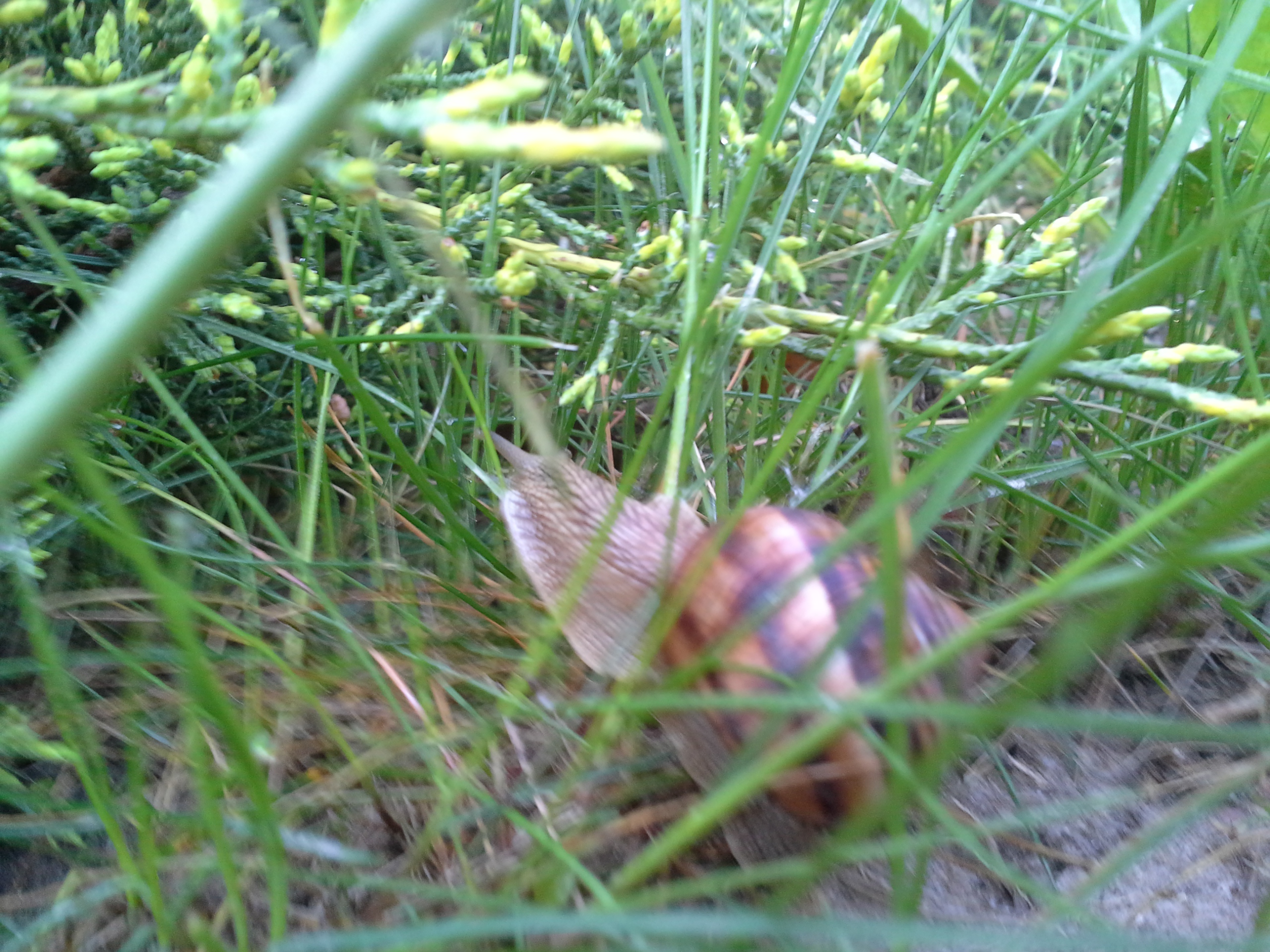 20180426_083725.jpg