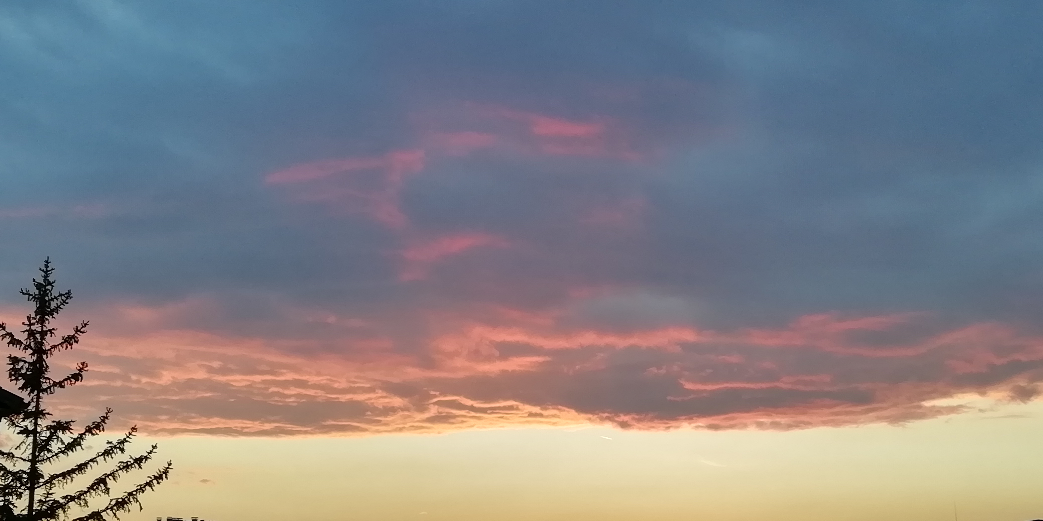 IMG_20190502_202709.jpg