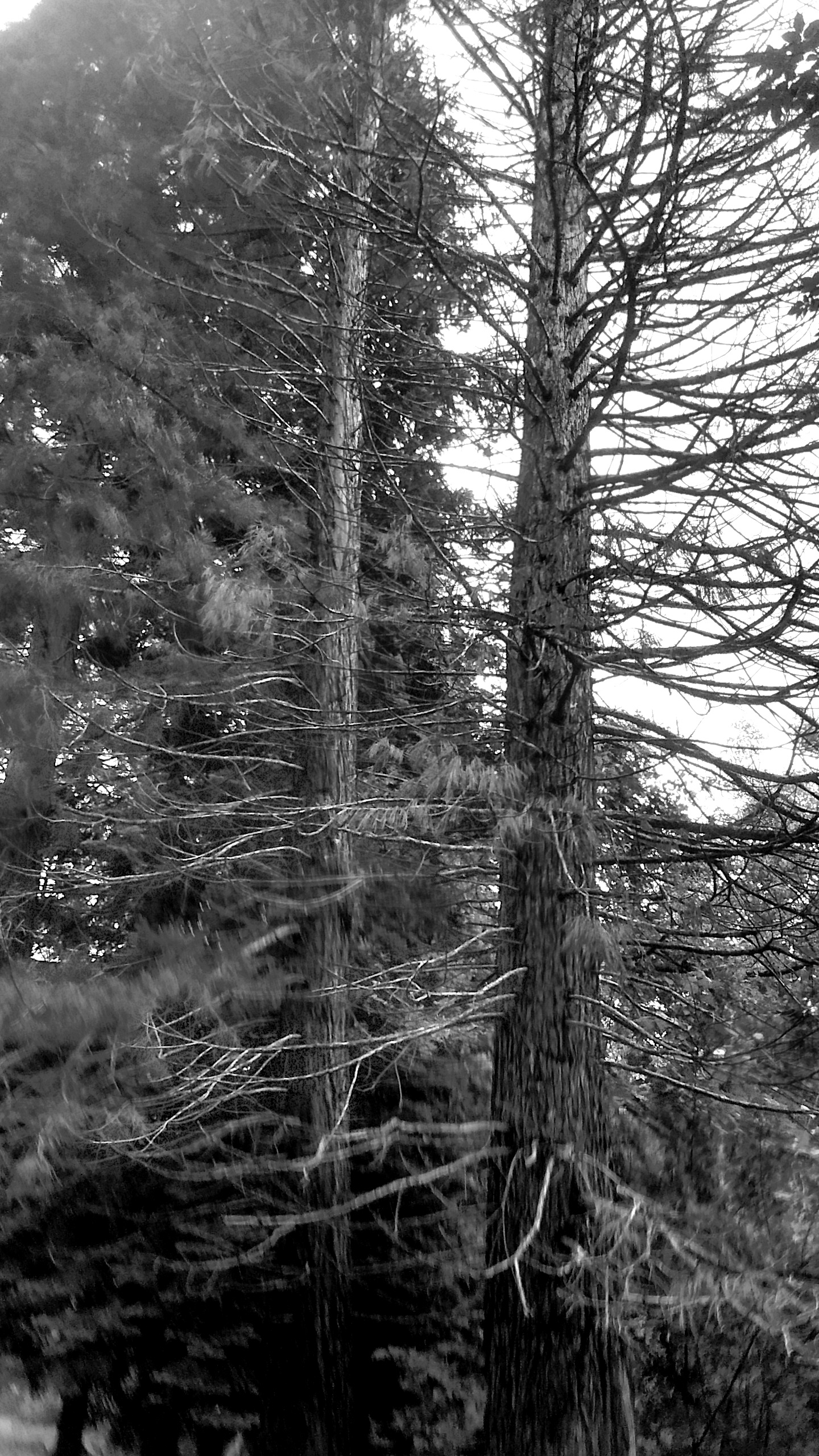 IMG_20190601_114408581_HDR Copy.jpg