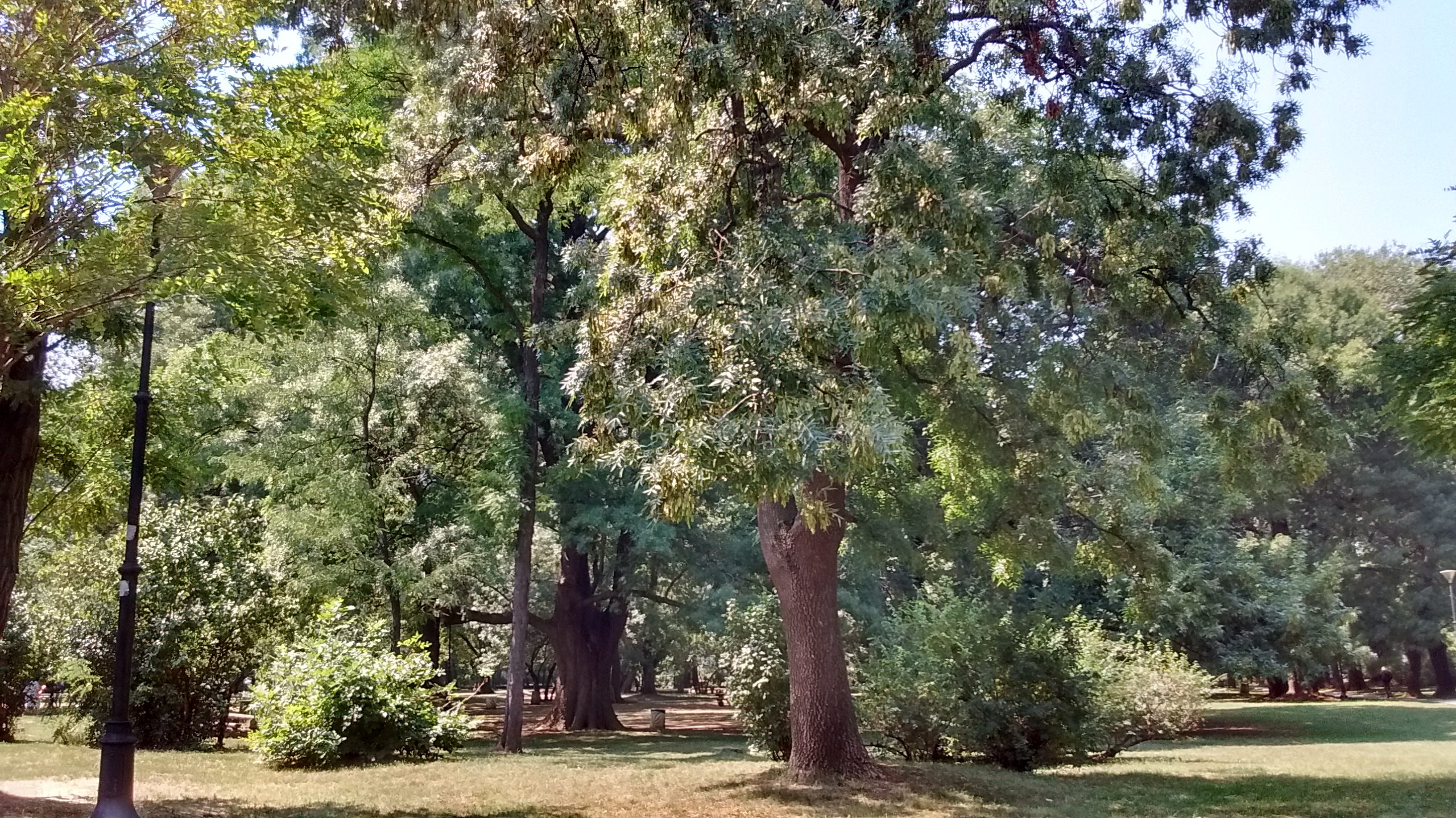 IMG_20190809_134713570_HDR.jpg