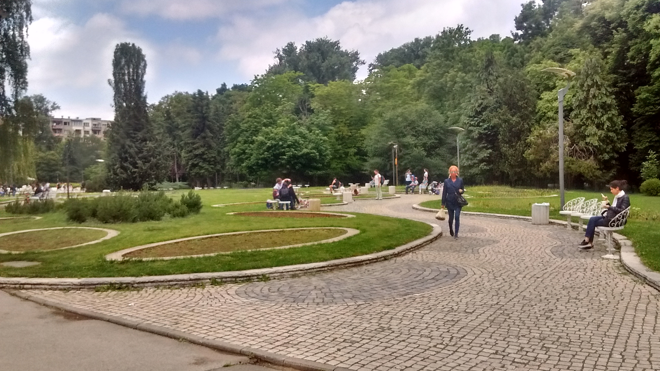 IMG_20190601_115523273_HDR.jpg