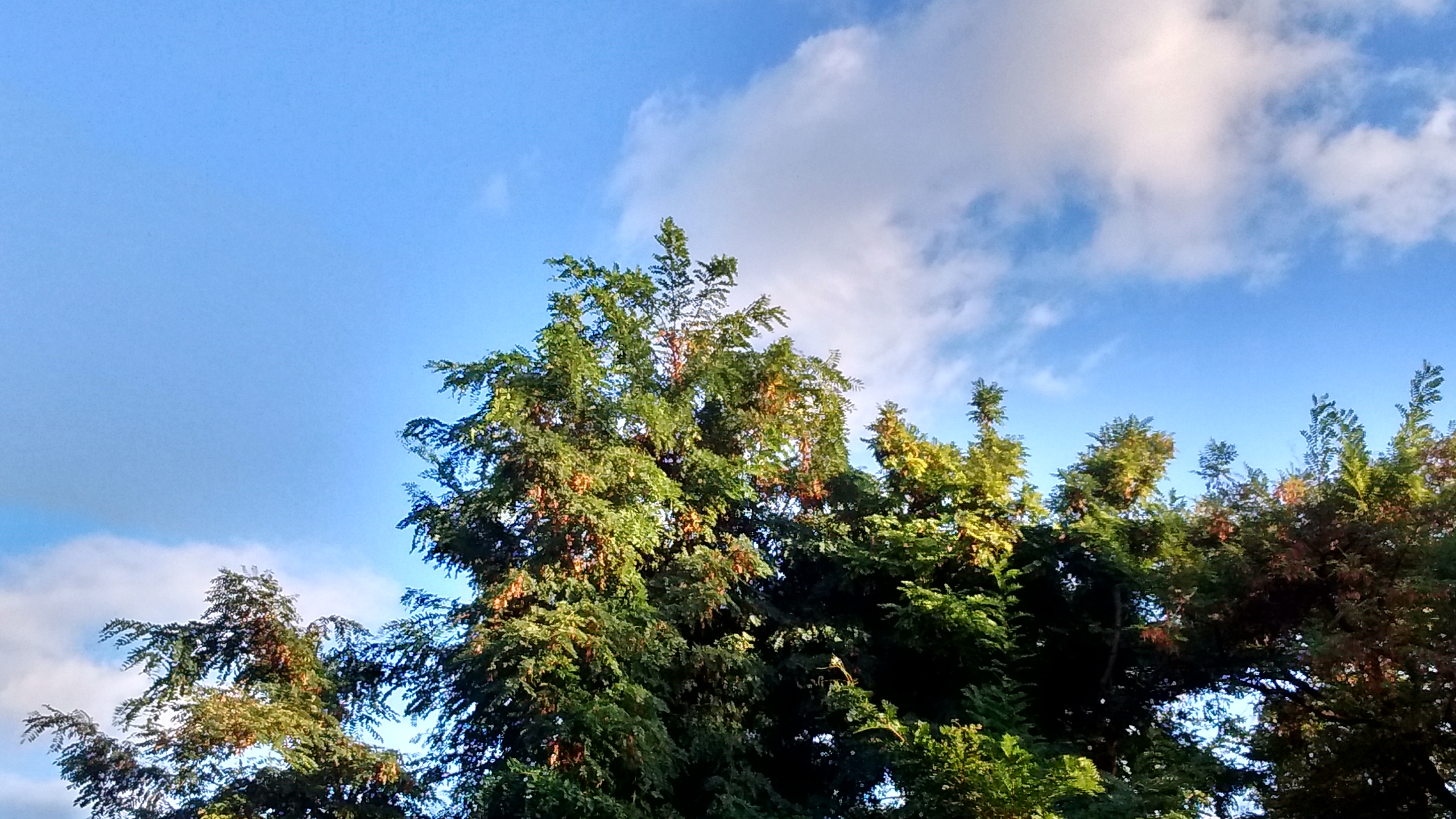 IMG_20180912_183001210_HDR.jpg