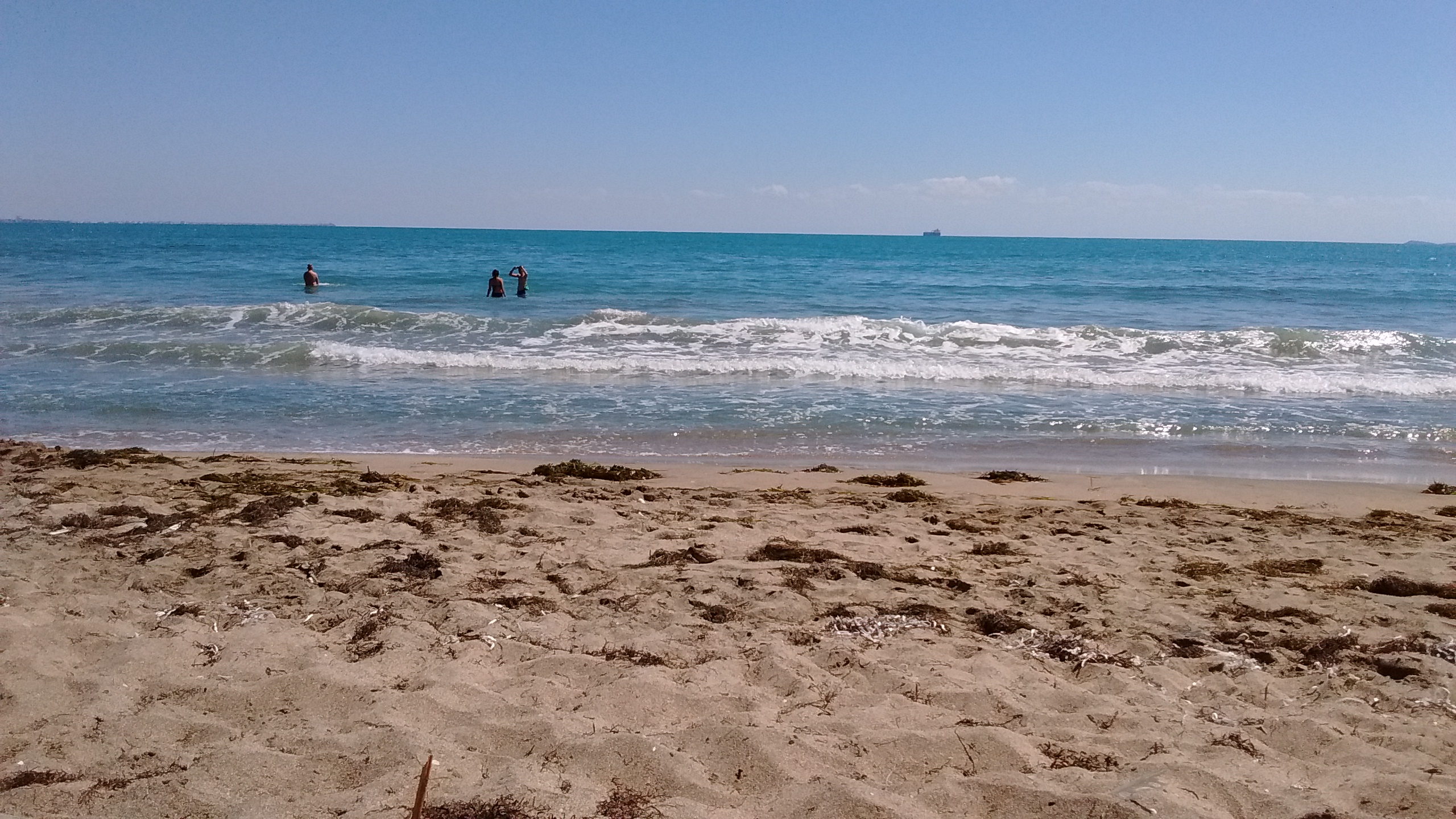 IMG_20200818_115918165.jpg