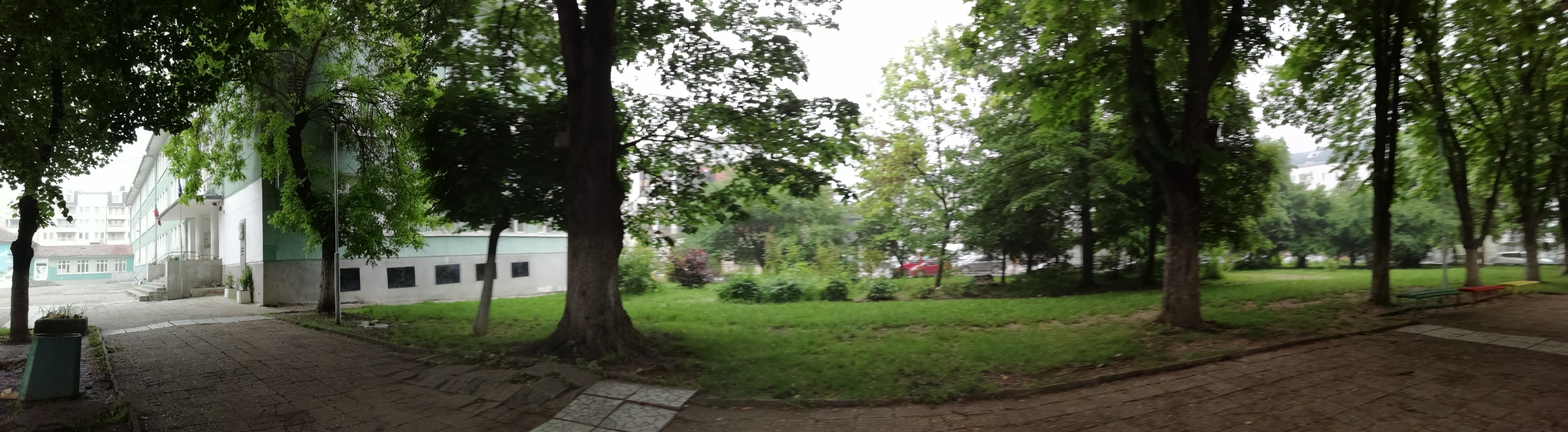 IMG_20190518_075944.jpg