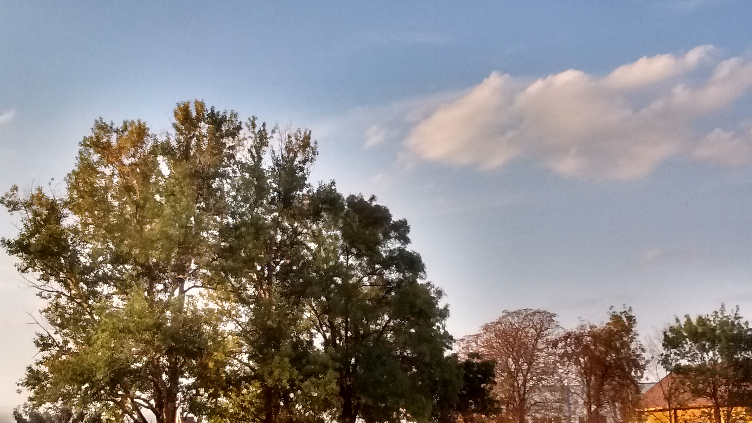 IMG_20180918_183634648_HDR.jpg