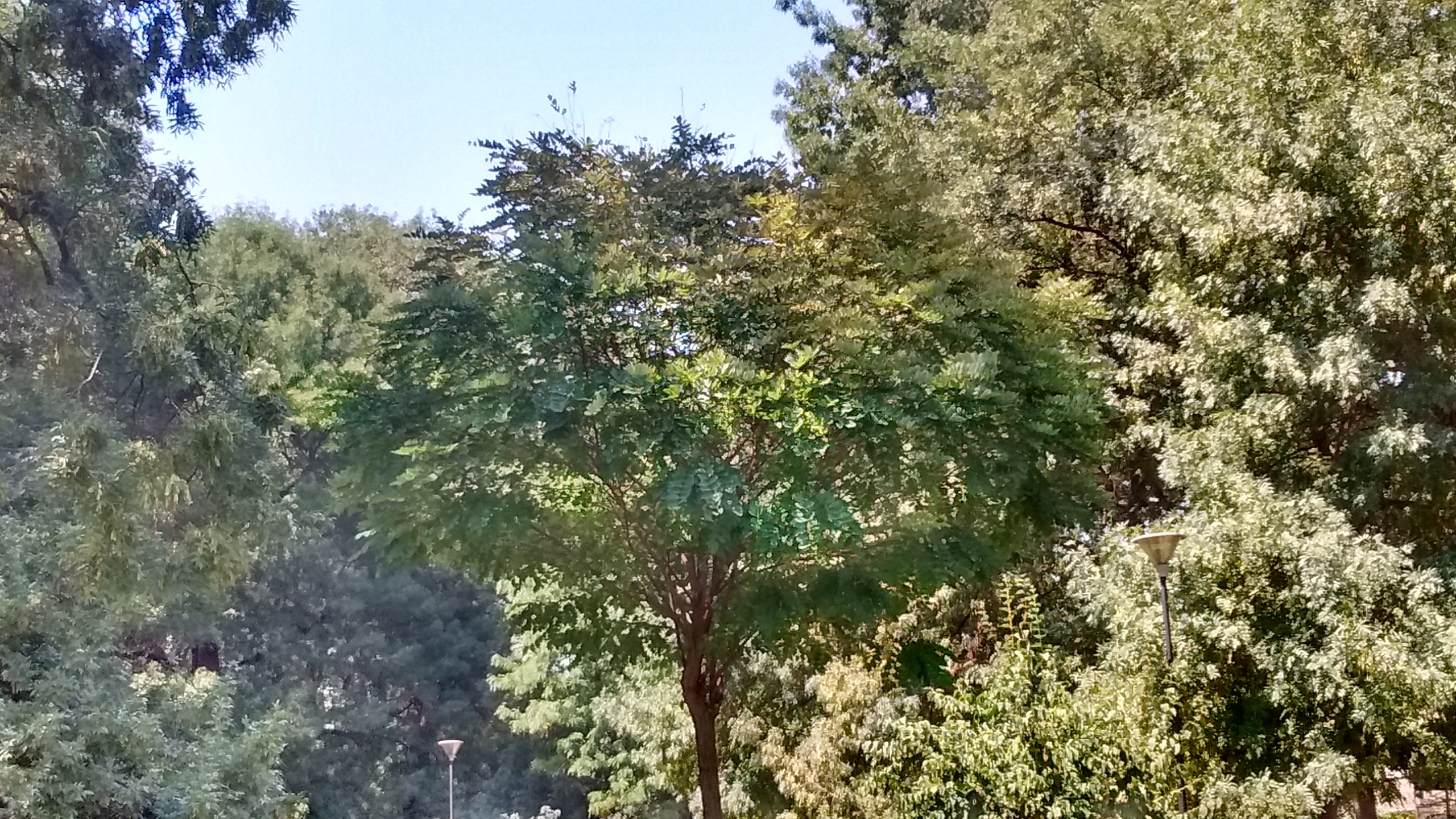 IMG_20190809_134726672_HDR.jpg