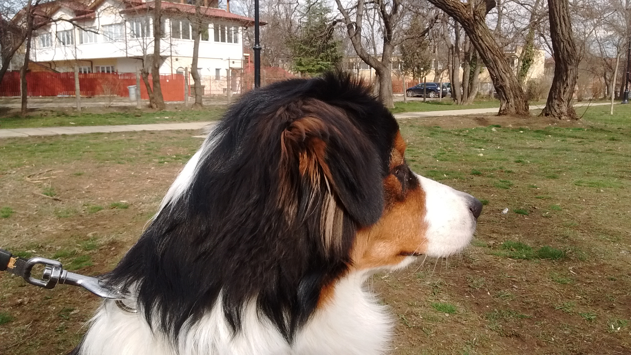 IMG_20190309_150426515.jpg
