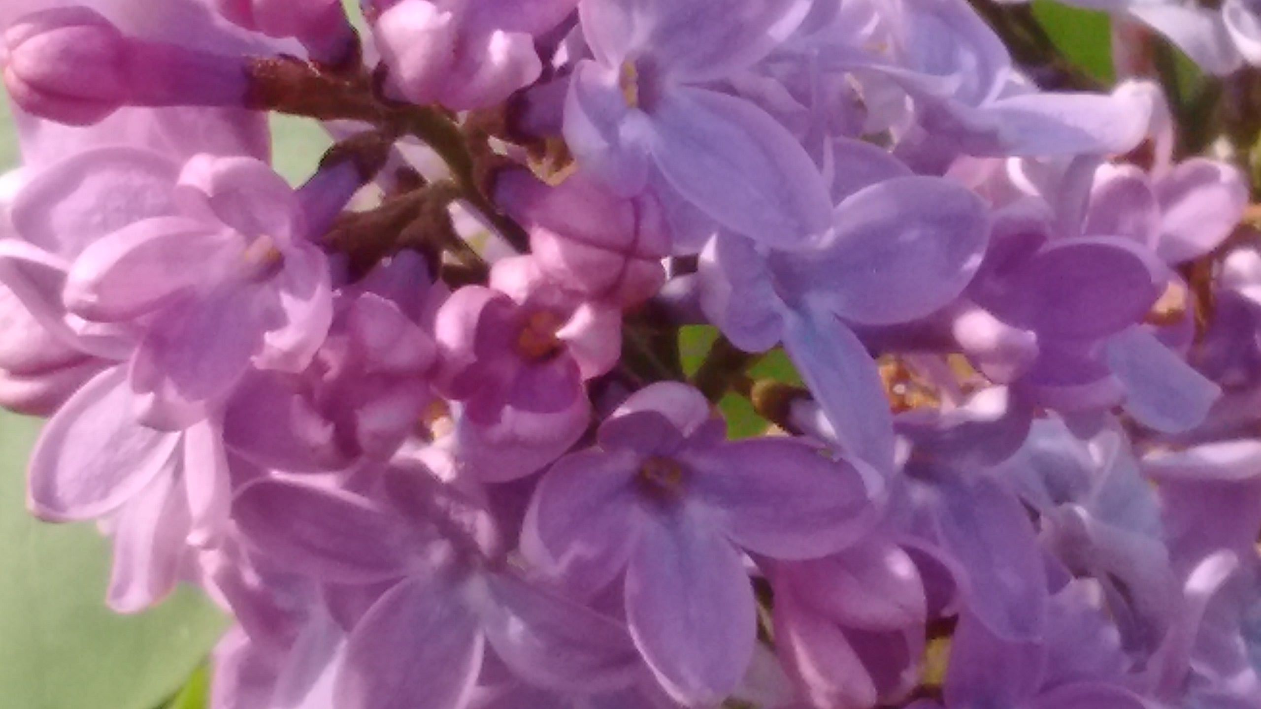 IMG_20190427_095327685.jpg