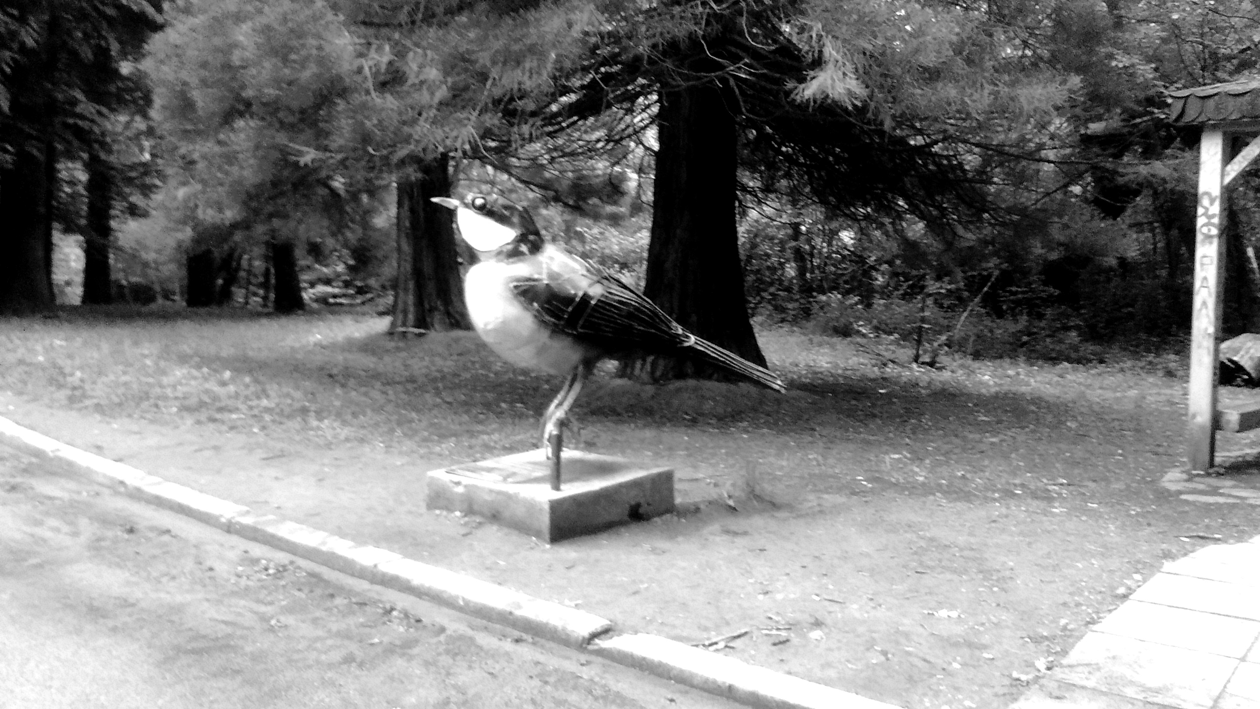 IMG_20190601_114446460 Copy.jpg