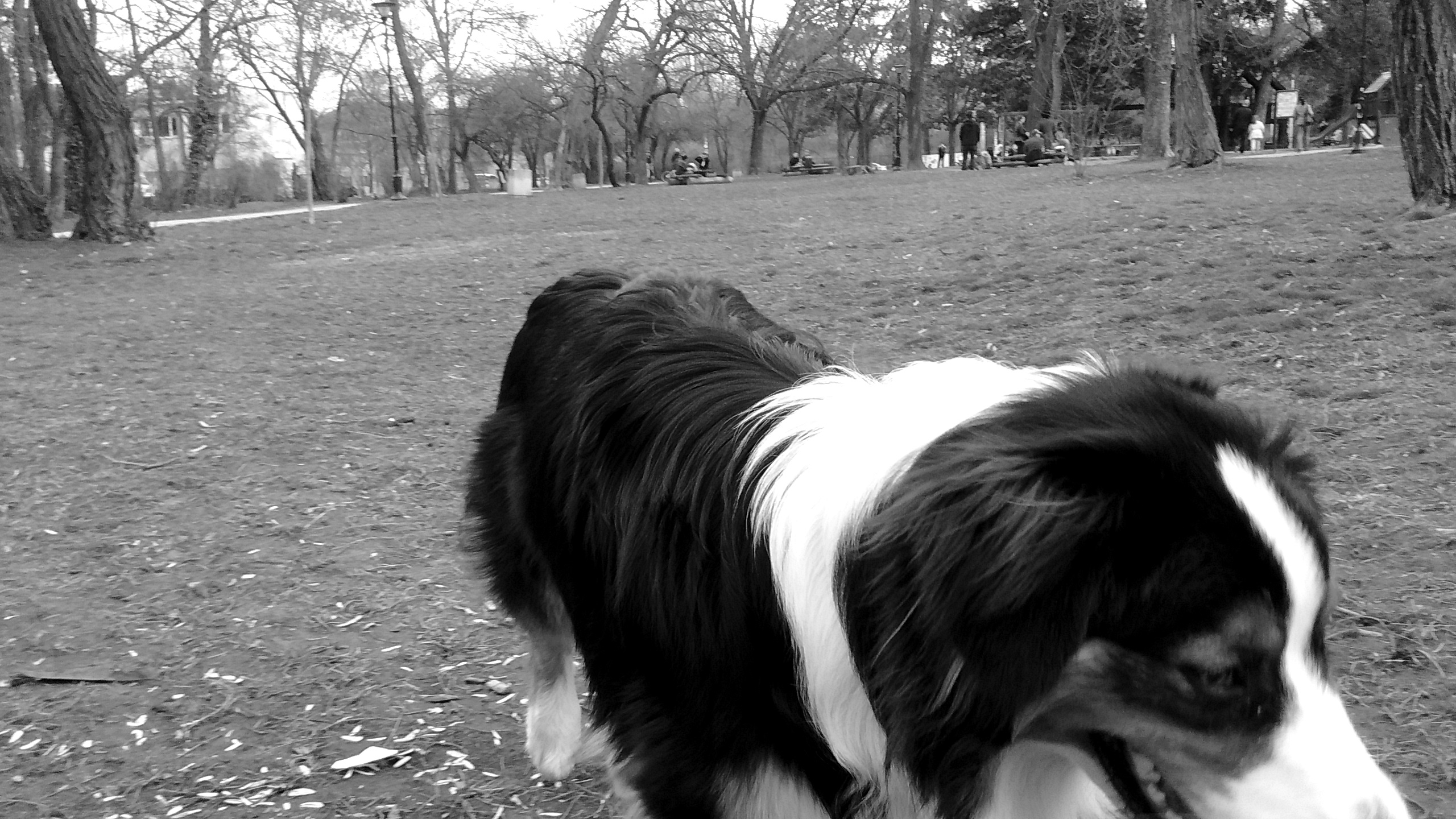 IMG_20190309_142755485 Copy.jpg