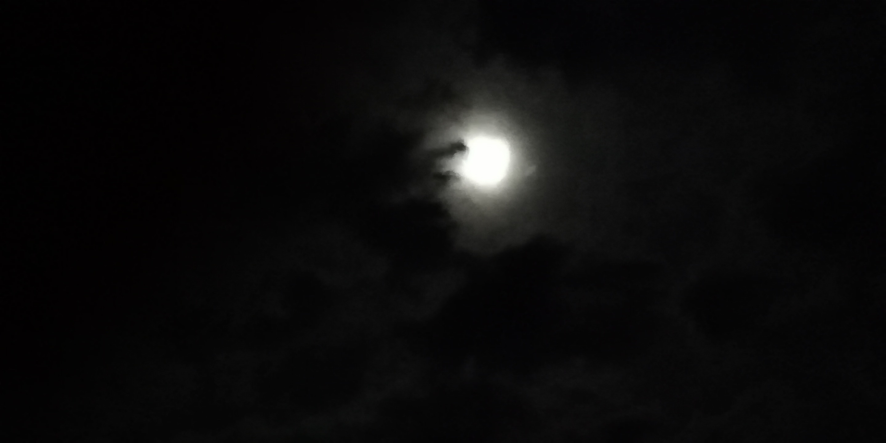 IMG_20181222_201058.jpg