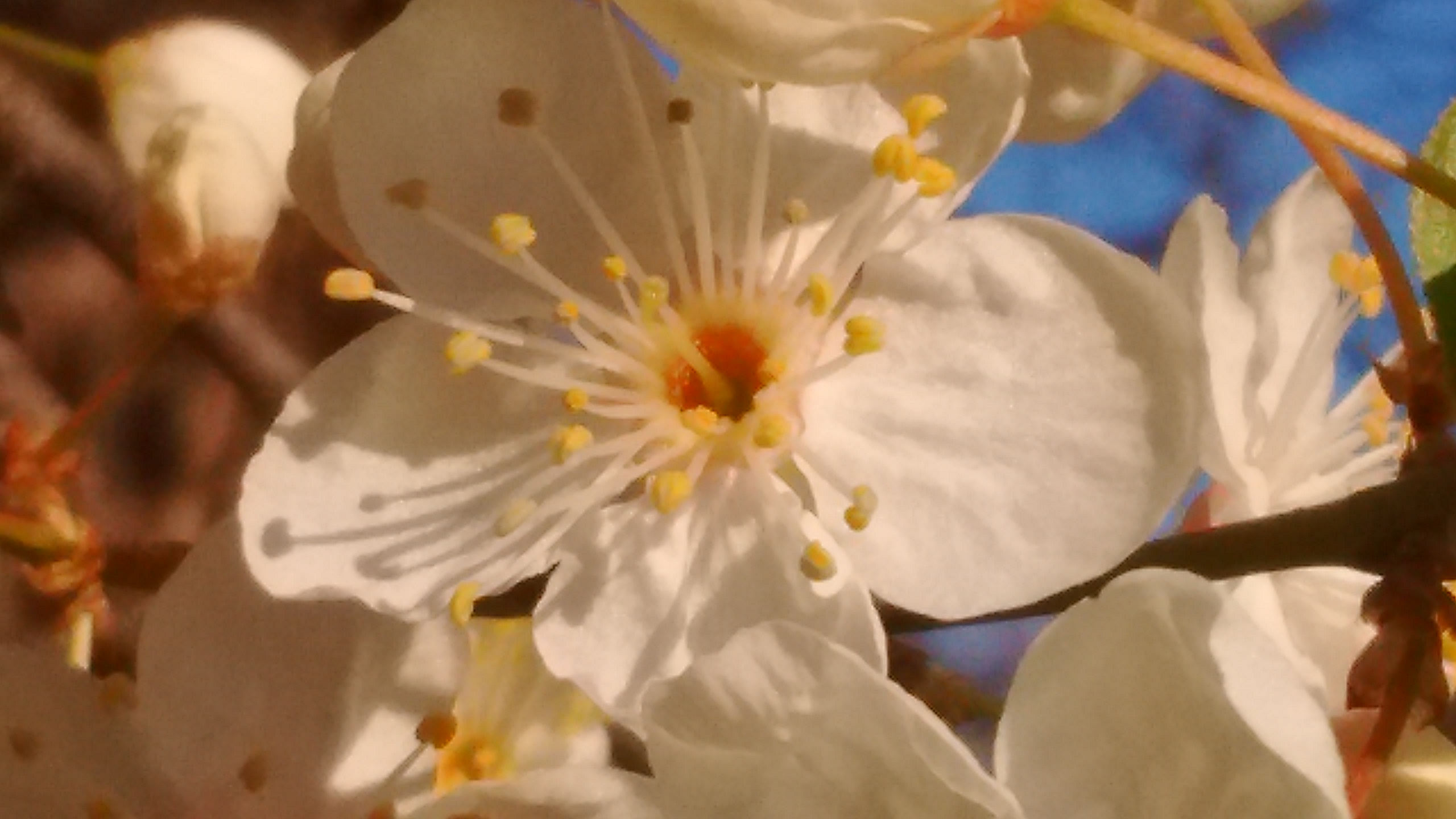 IMG_20190329_081413597.jpg