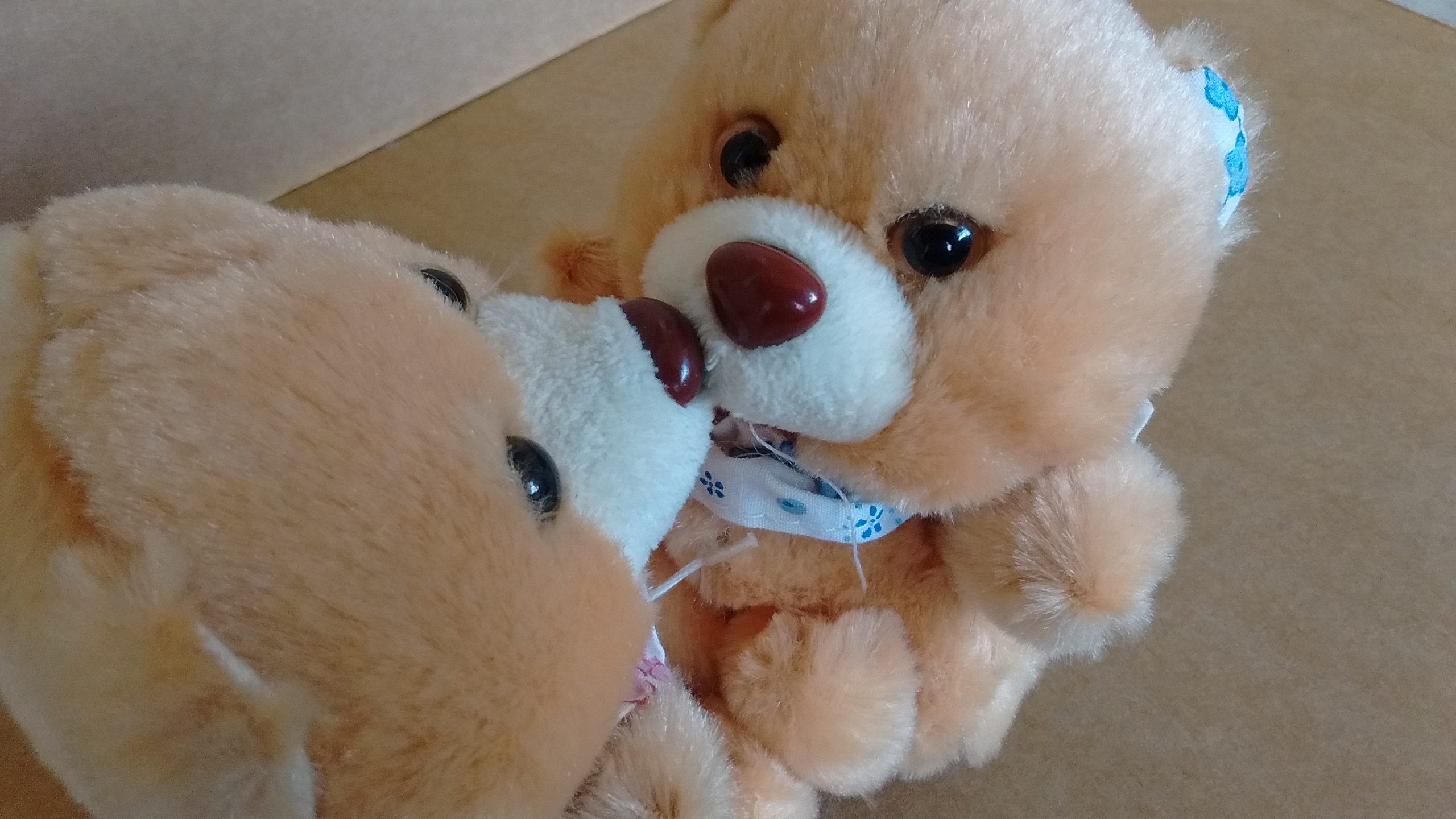 IMG_20190610_141759273.jpg