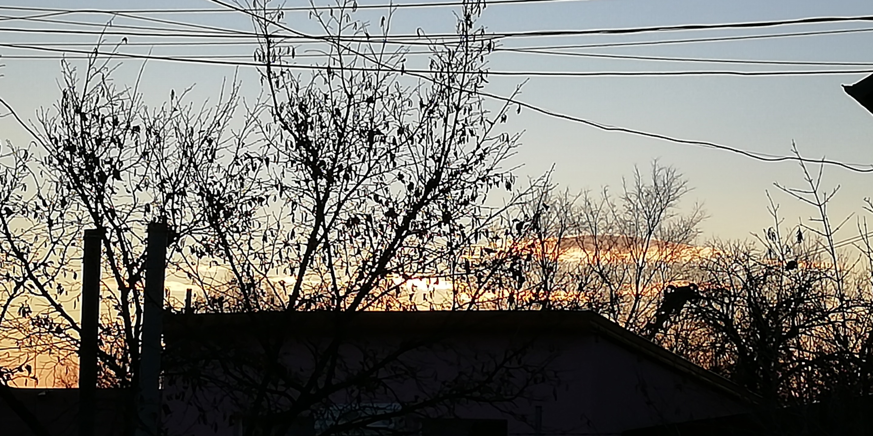 IMG_20181226_075655.jpg