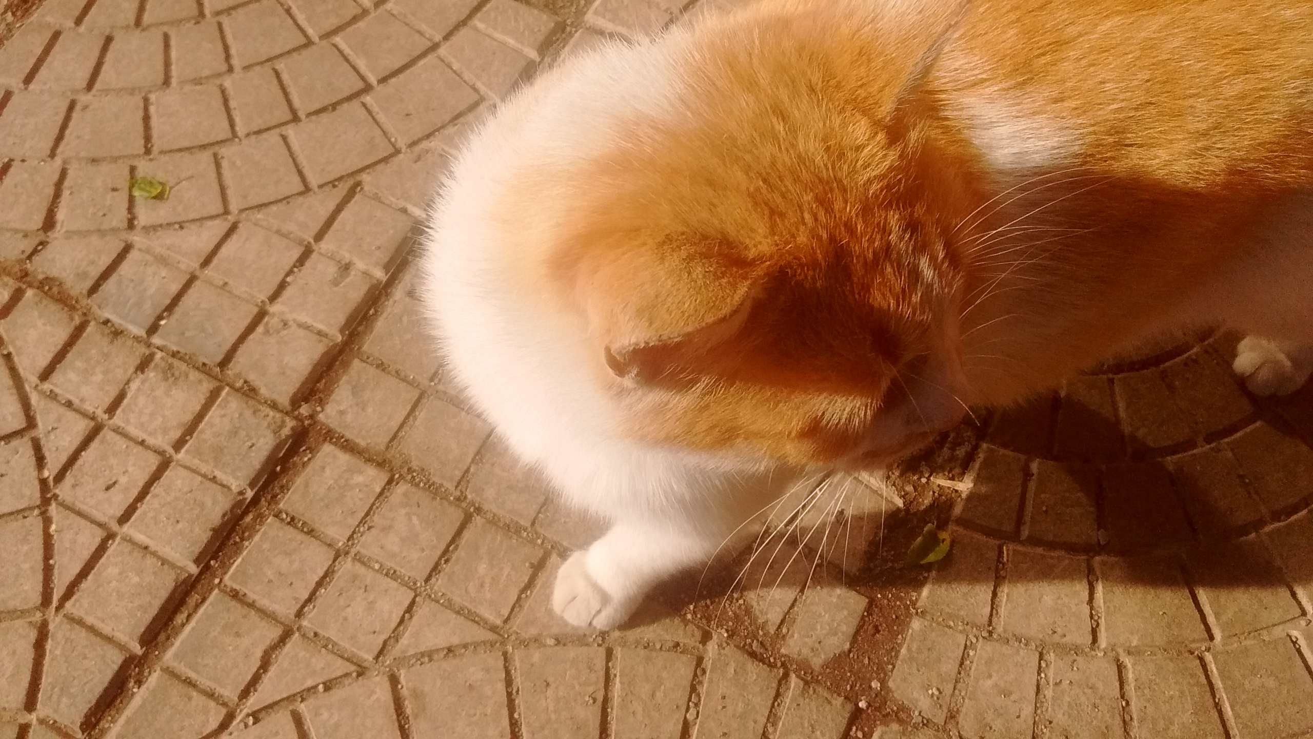 Kein Bild