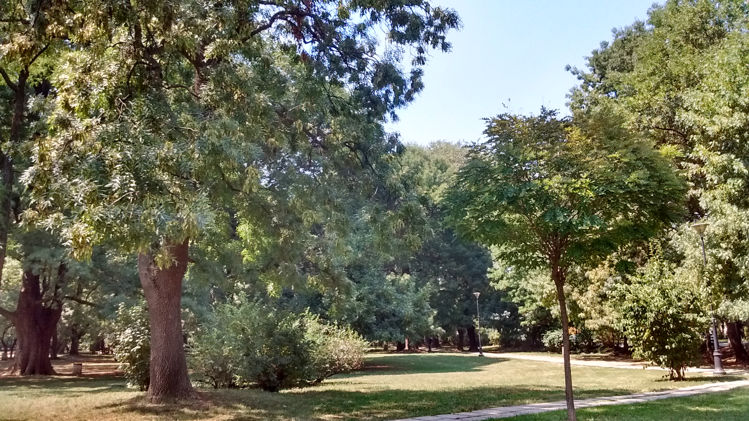 IMG_20190809_134718737_HDR.jpg