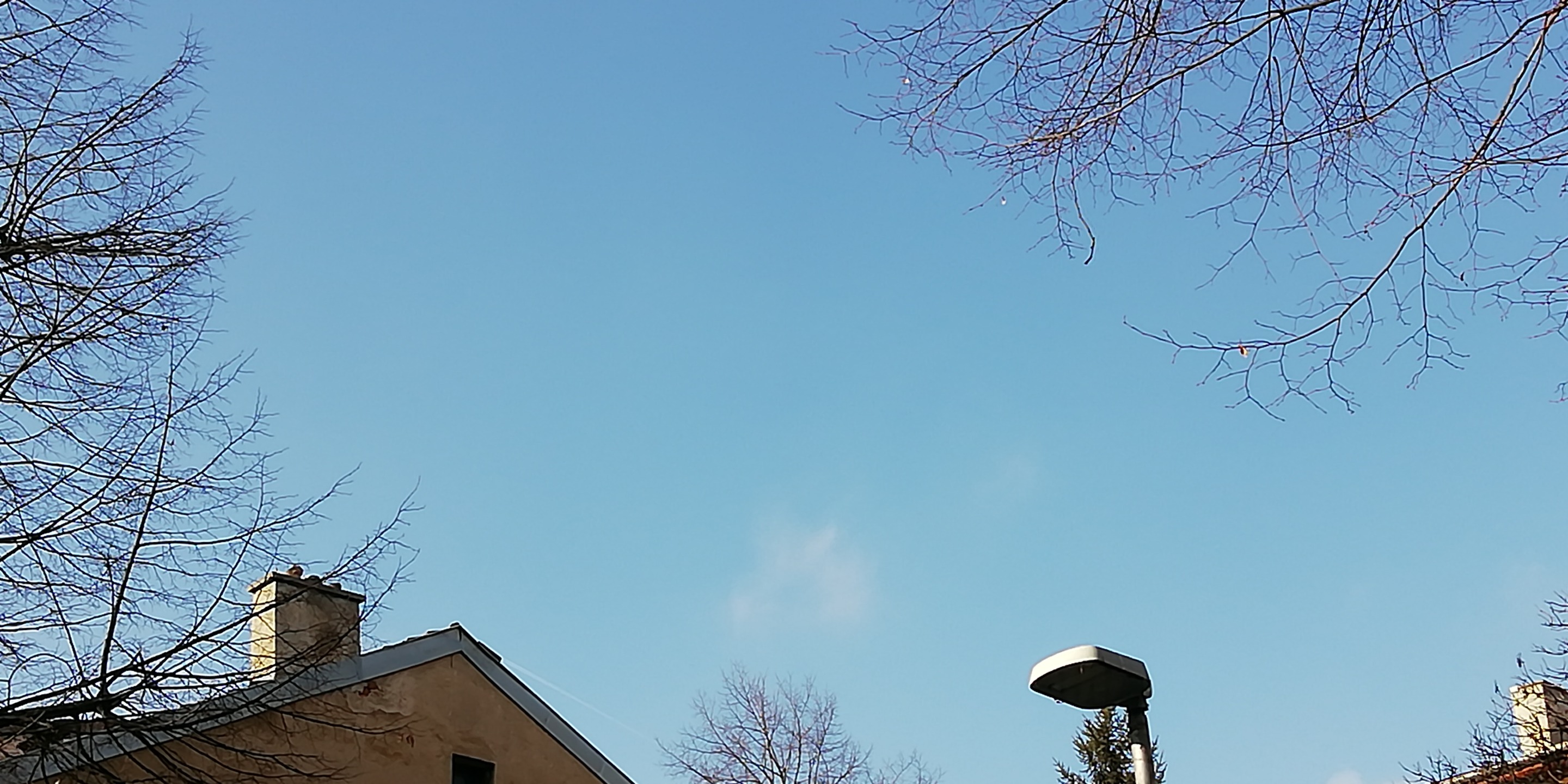 IMG_20200118_121846.jpg