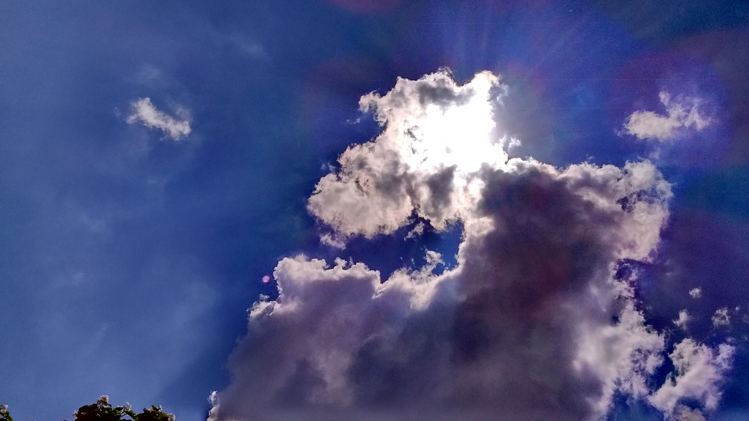 IMG_20190615_142553654_HDR.jpg