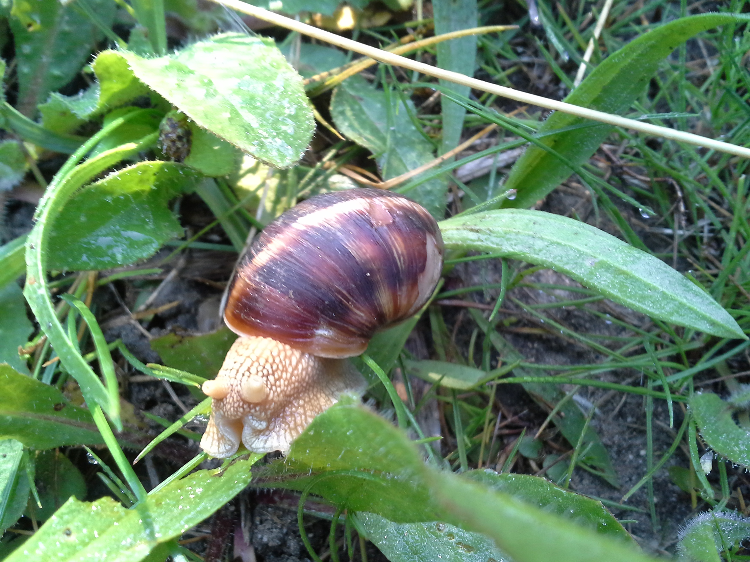 20180426_083741.jpg