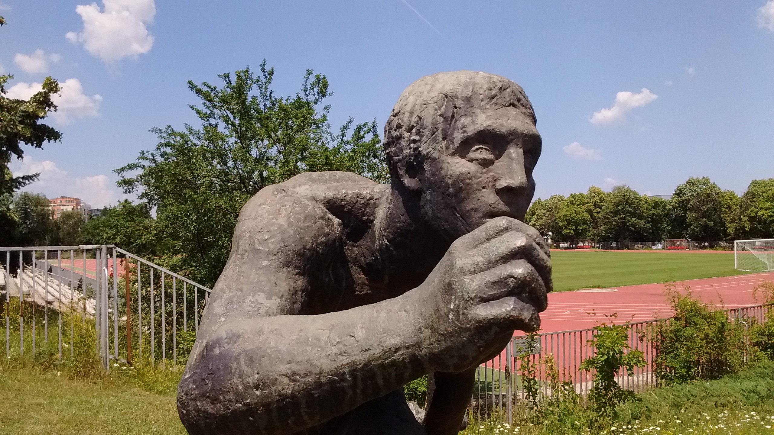 IMG_20190615_142411396.jpg