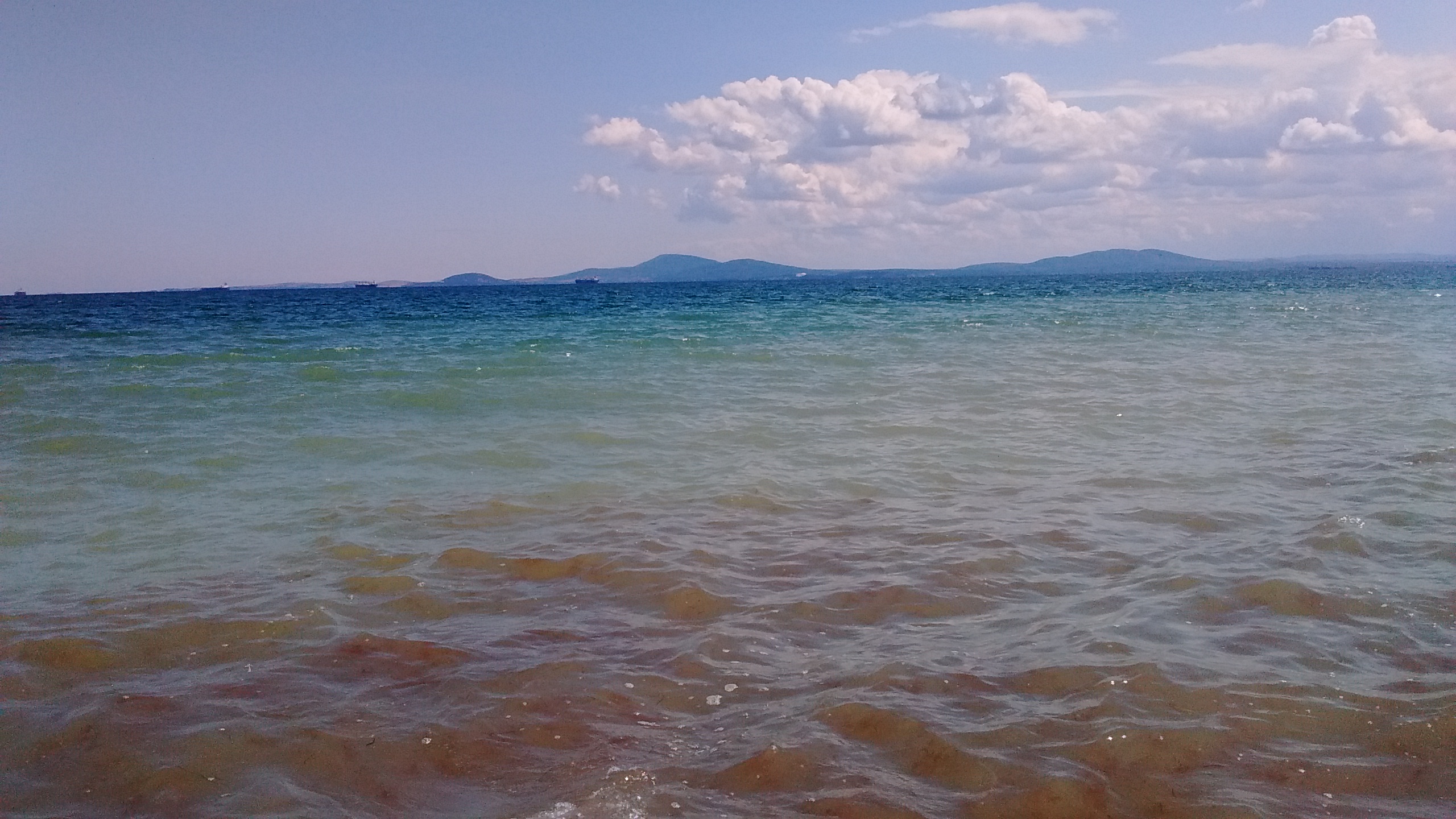 IMG_20190715_143809756.jpg