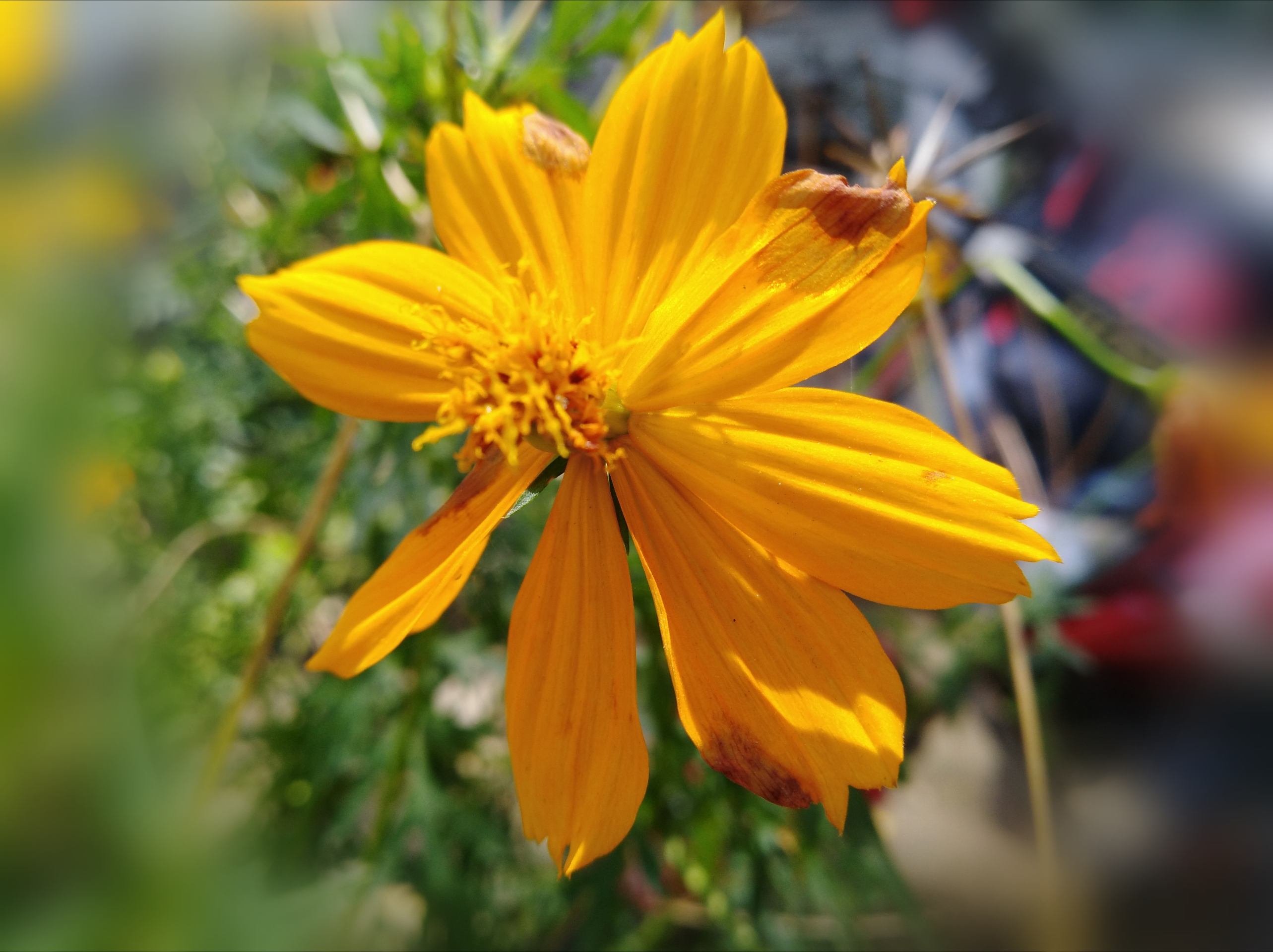 PhotoEditor_20190920_215223452.jpg