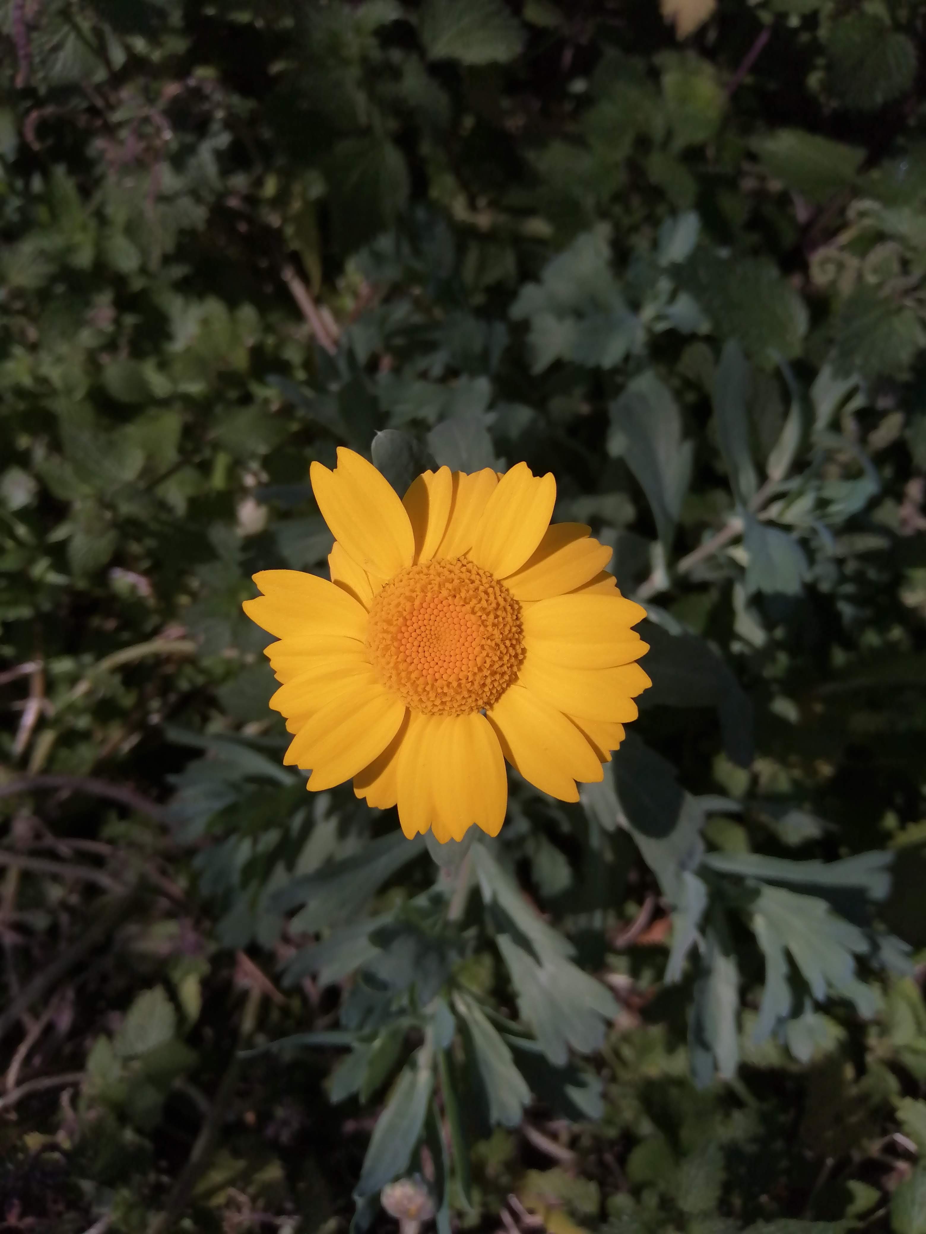 F37995EB6CC44A9DA8933907616F03BF.jpeg