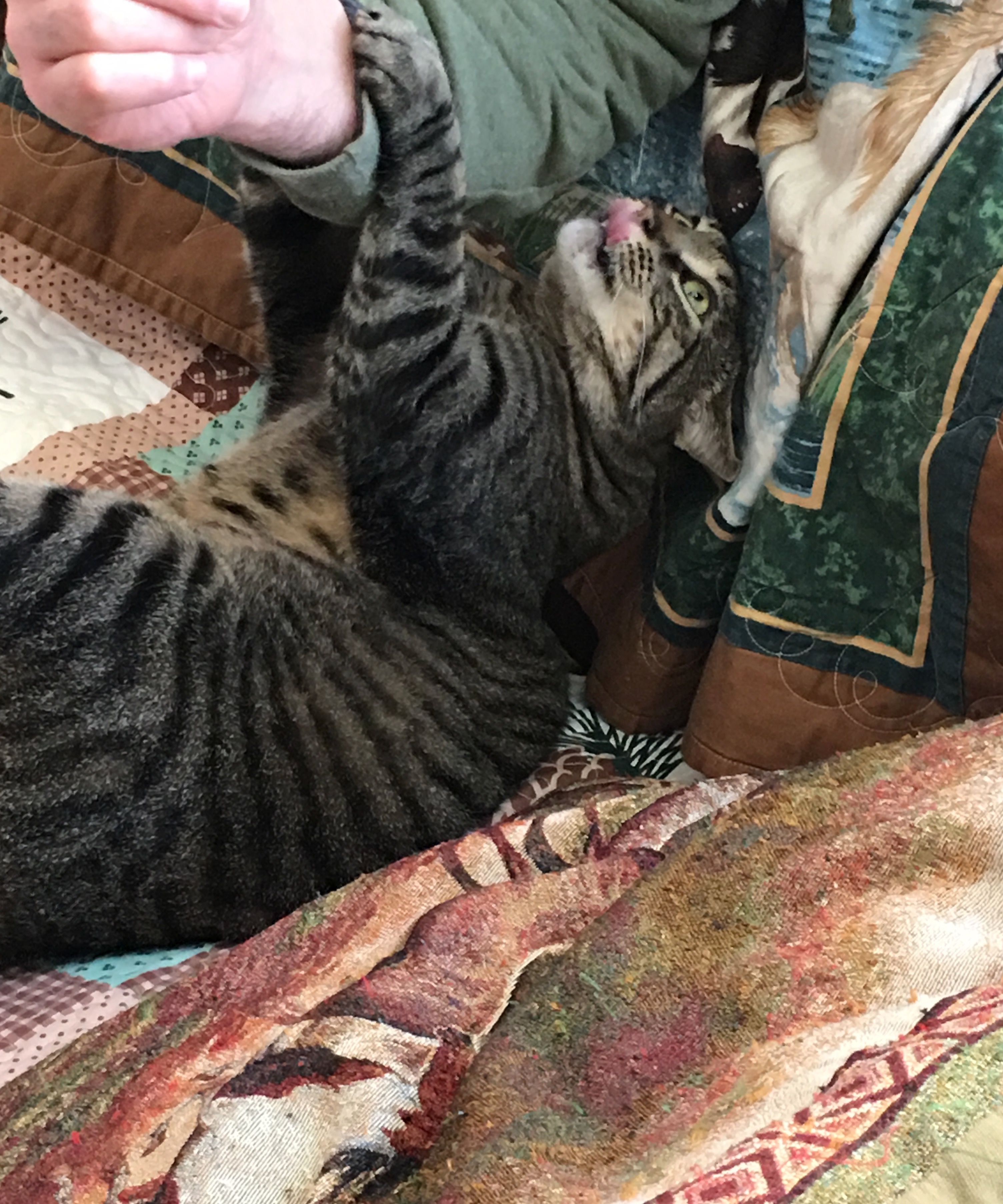 IMG_4668.jpeg