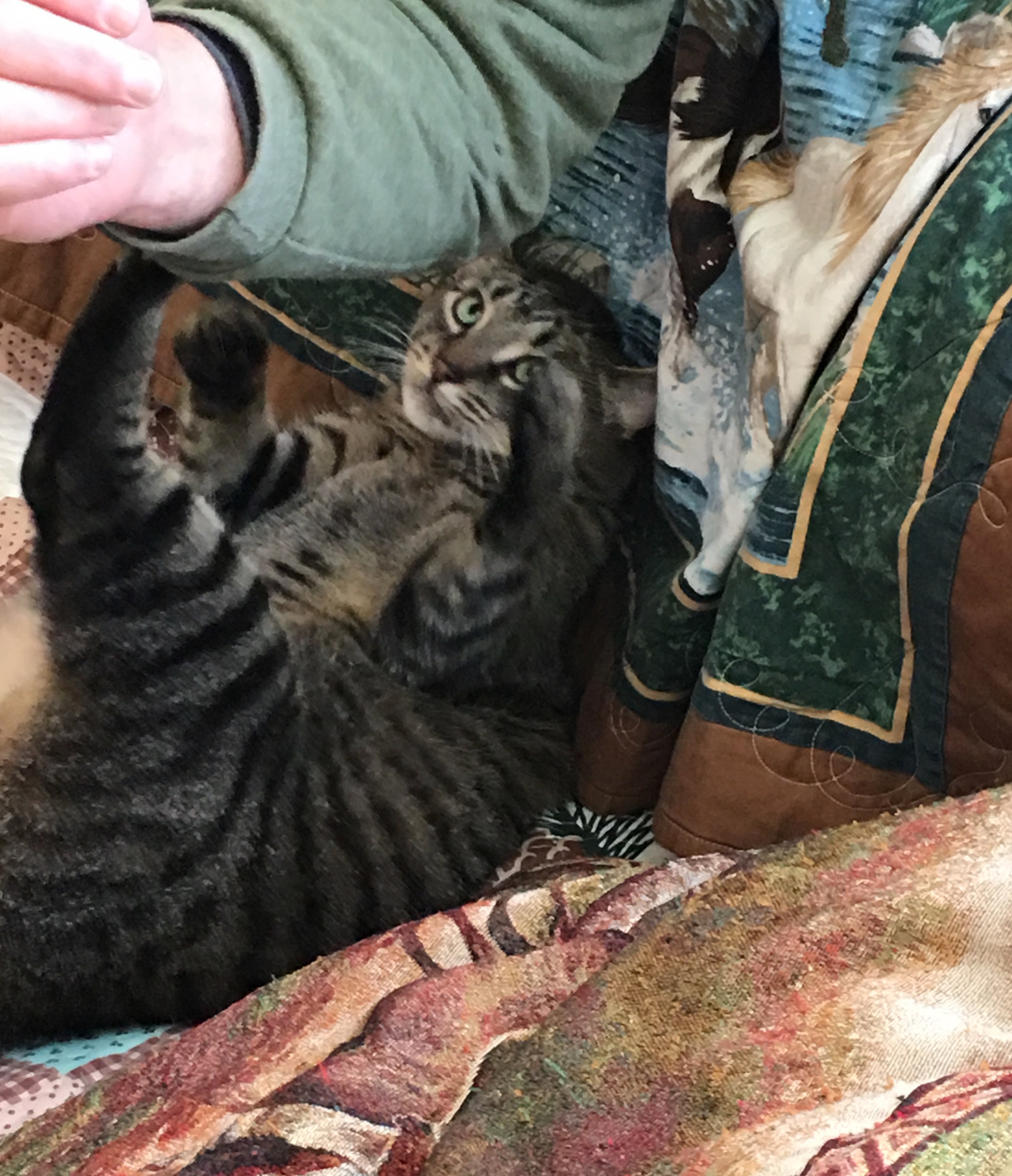IMG_4669.jpeg