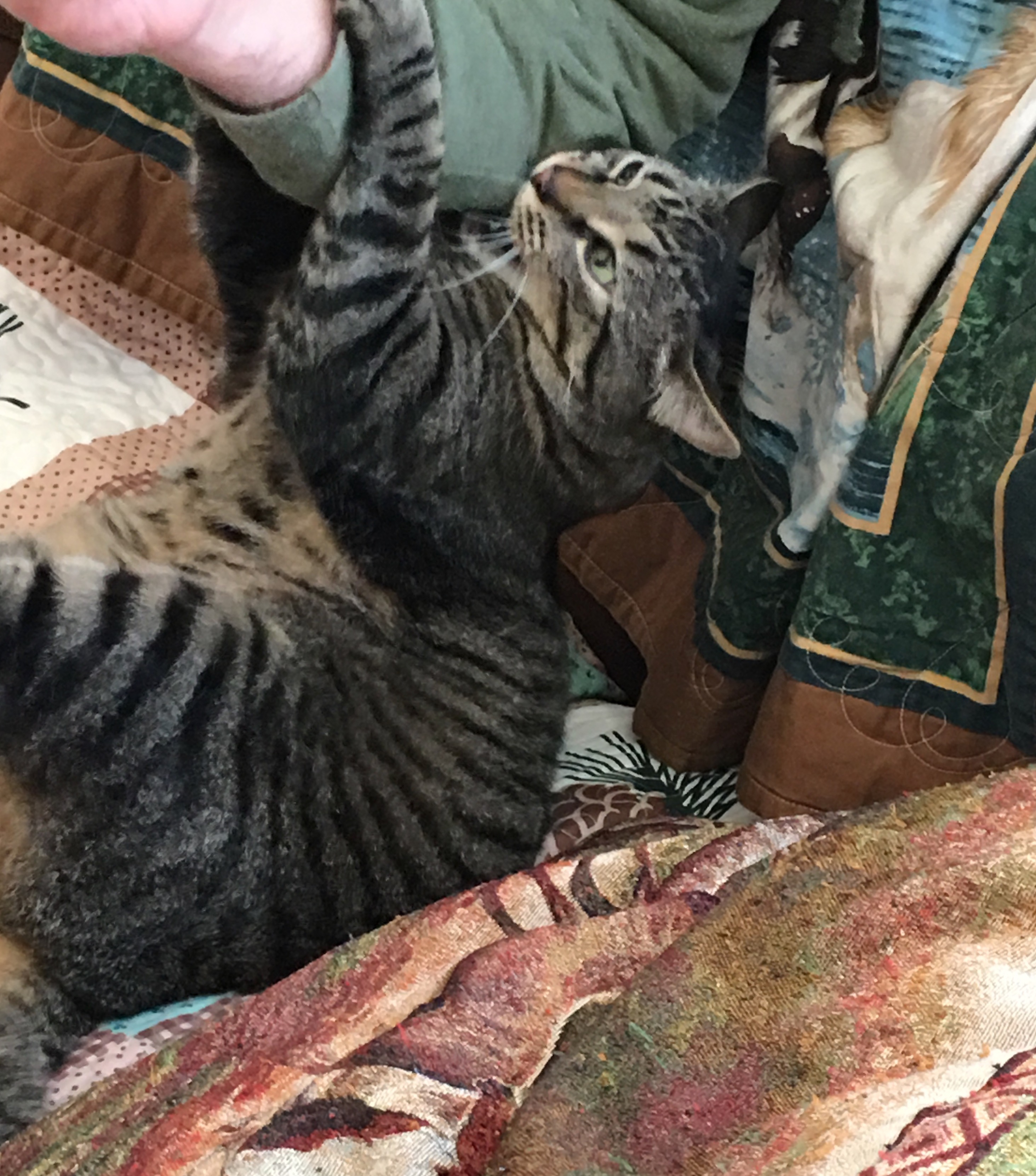 IMG_4666.jpeg