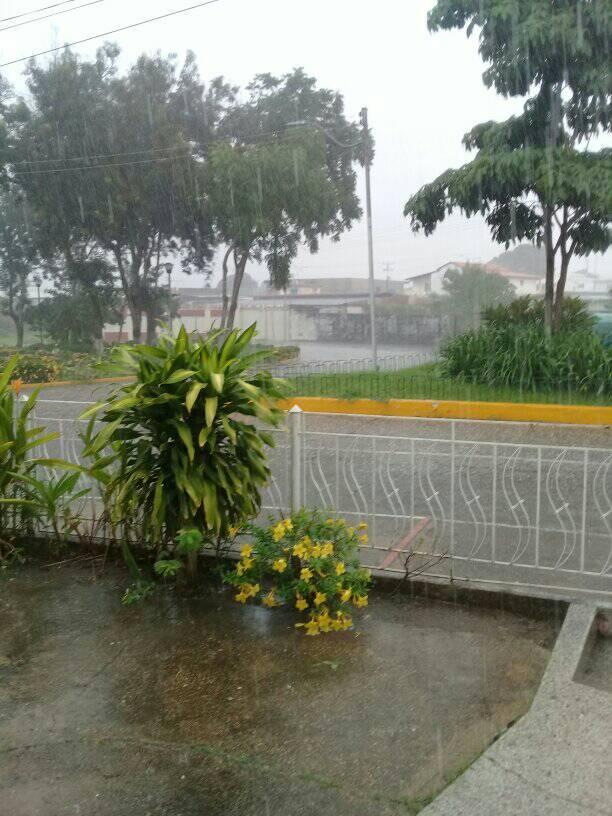 Sabado de lluvia.jpg