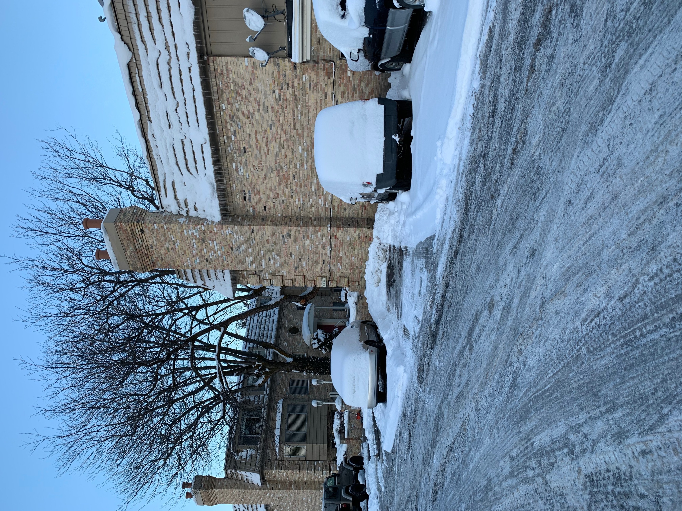 snowdays2.jpg