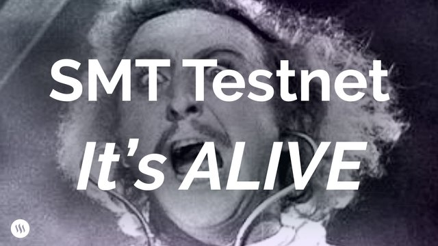 SMT测试网正式上线！