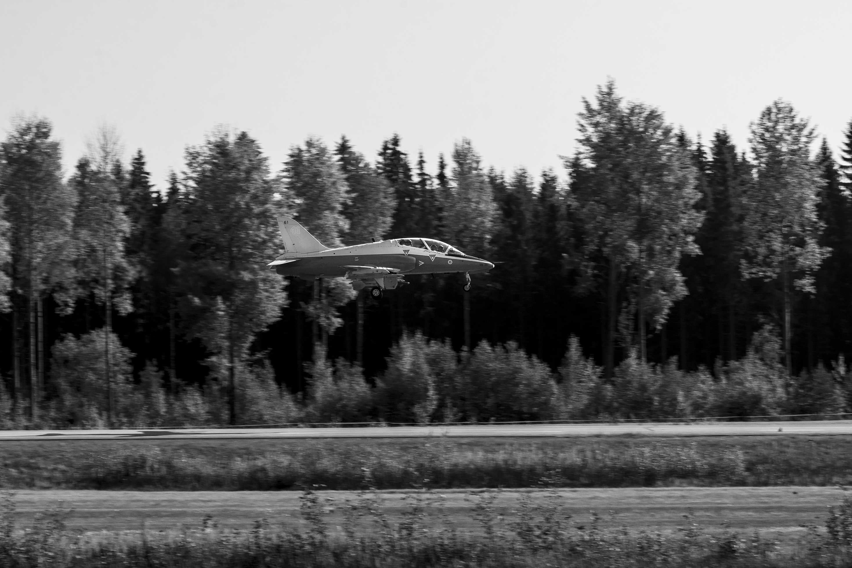 lusi9.jpg