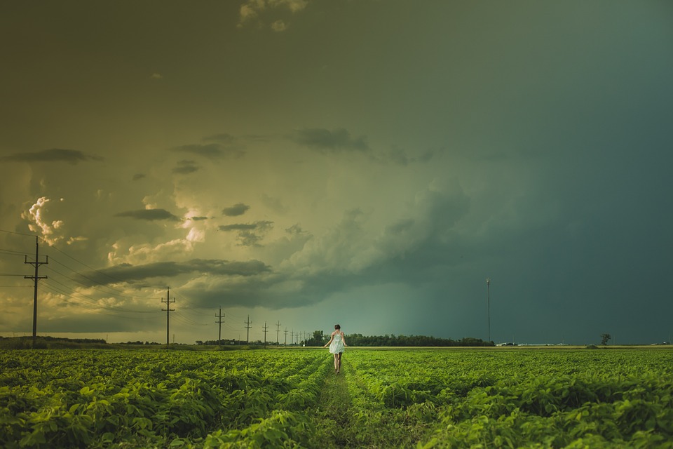 field847647_960_720.jpg