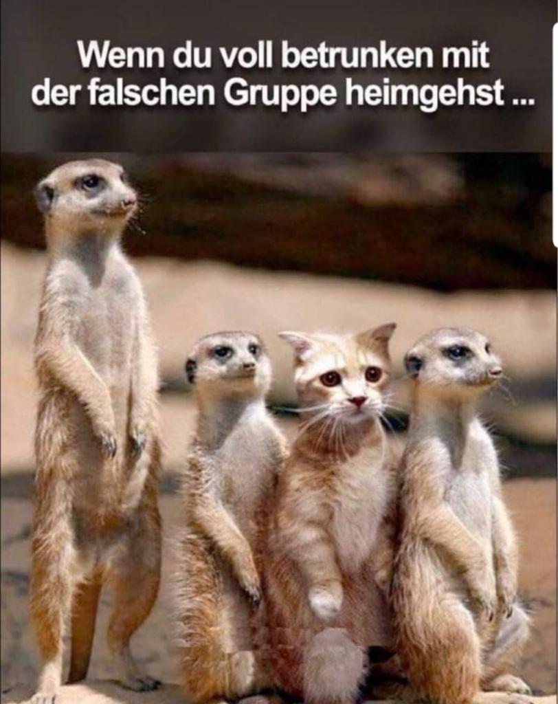 Kein Bild