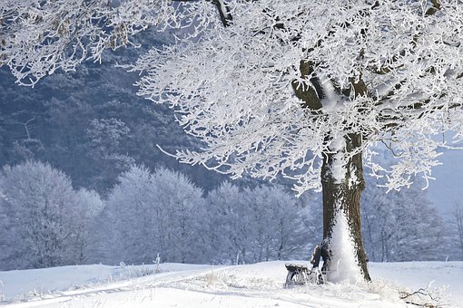winter4680354__340.jpg
